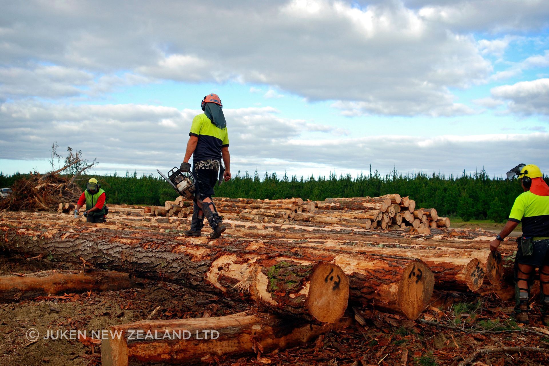 juken-forestry-2.jpg