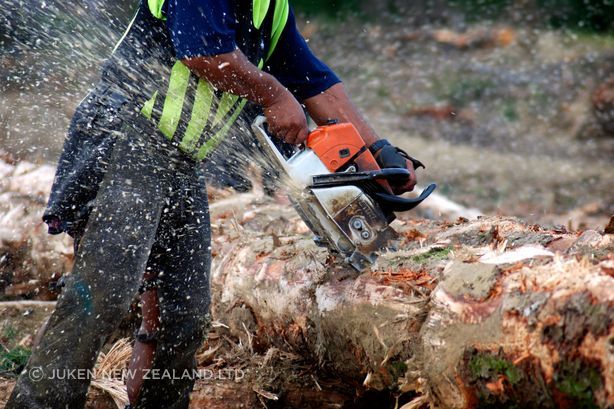 juken-forestry-3.jpg