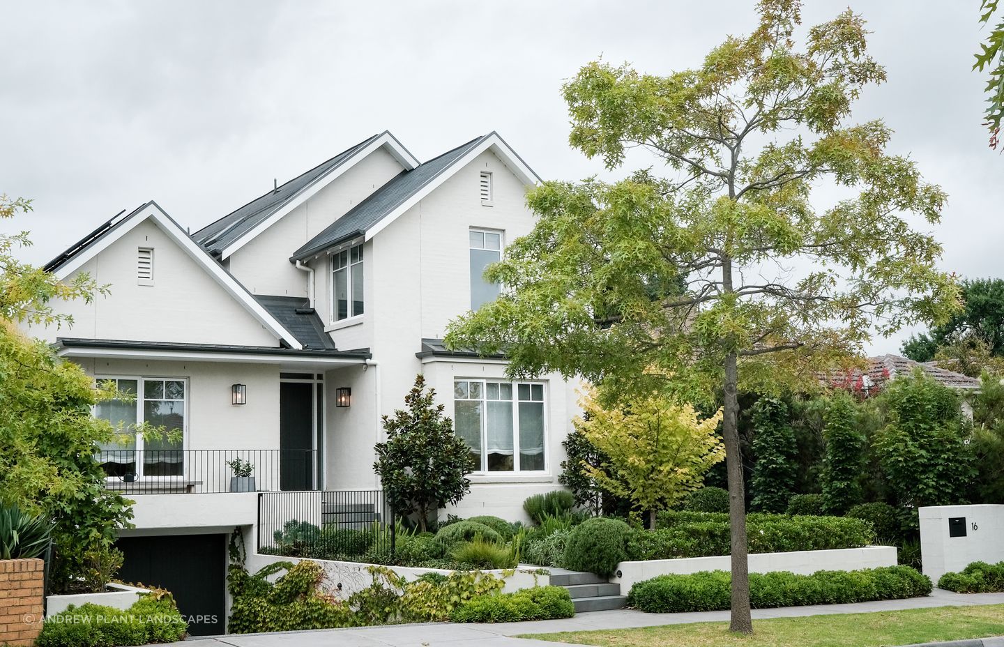 A contemporary house commands a contemporary garden
