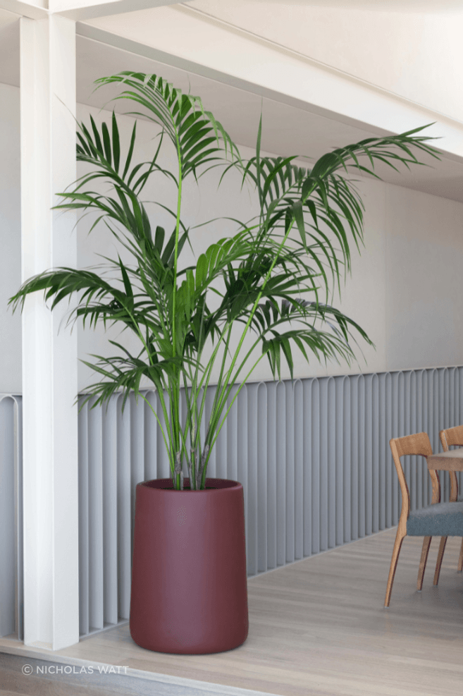 matching-garden-pots-to-you-home-3.png