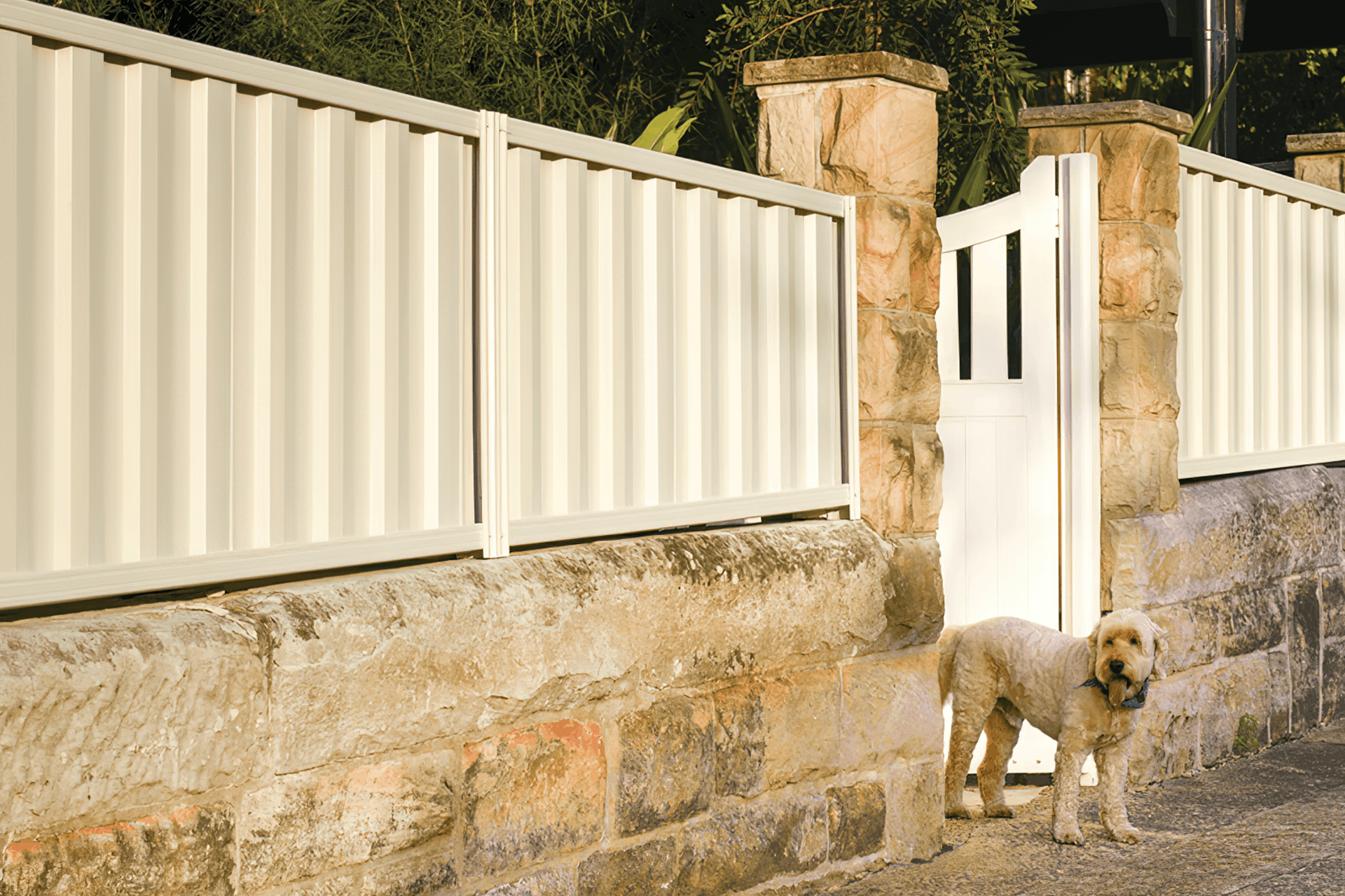 This Metline premium colorbond steel fence provides a stylish entrance to this home.