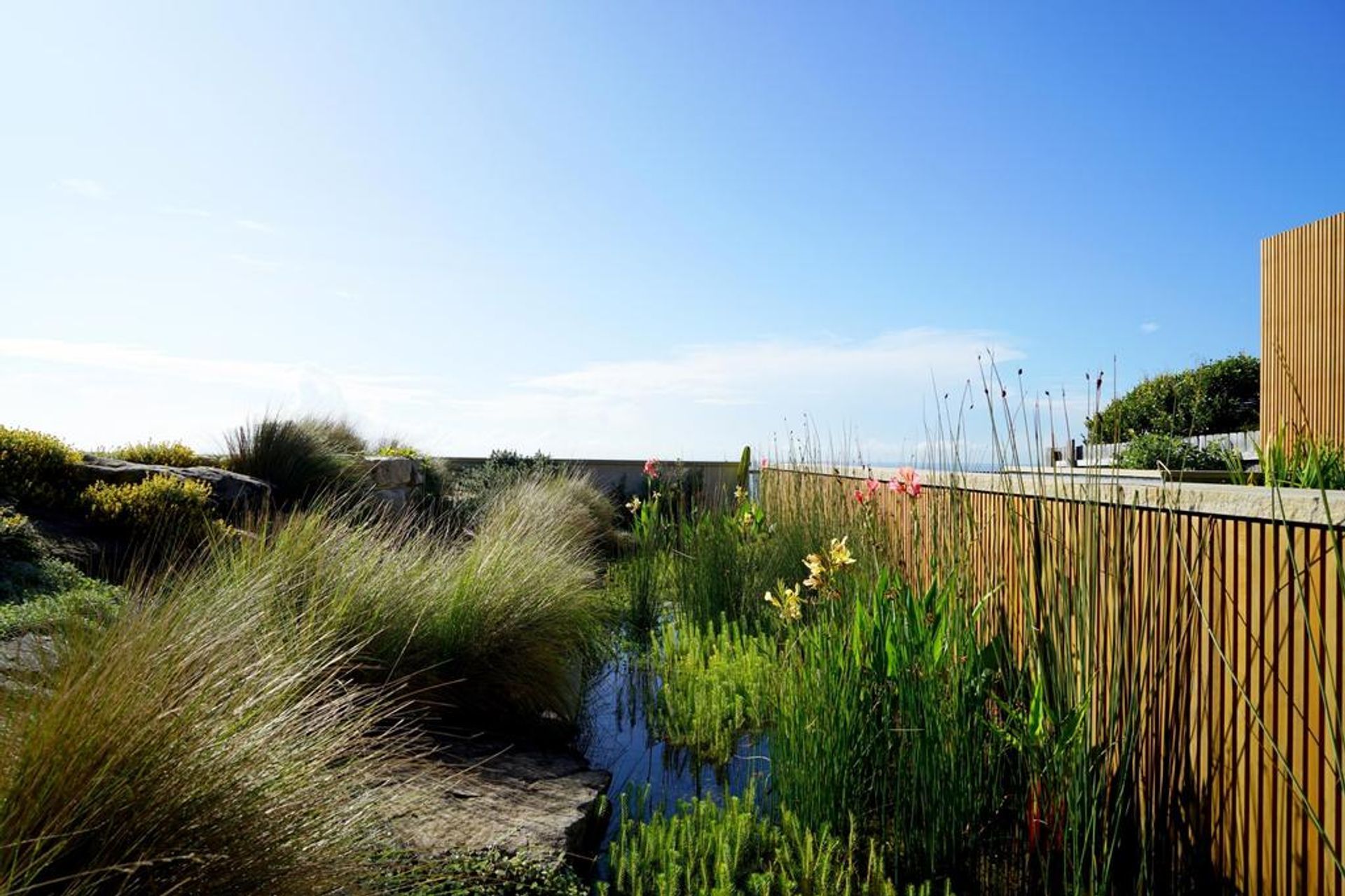 Drought resistant native grasses adorn this garden | Source: Vogue Living