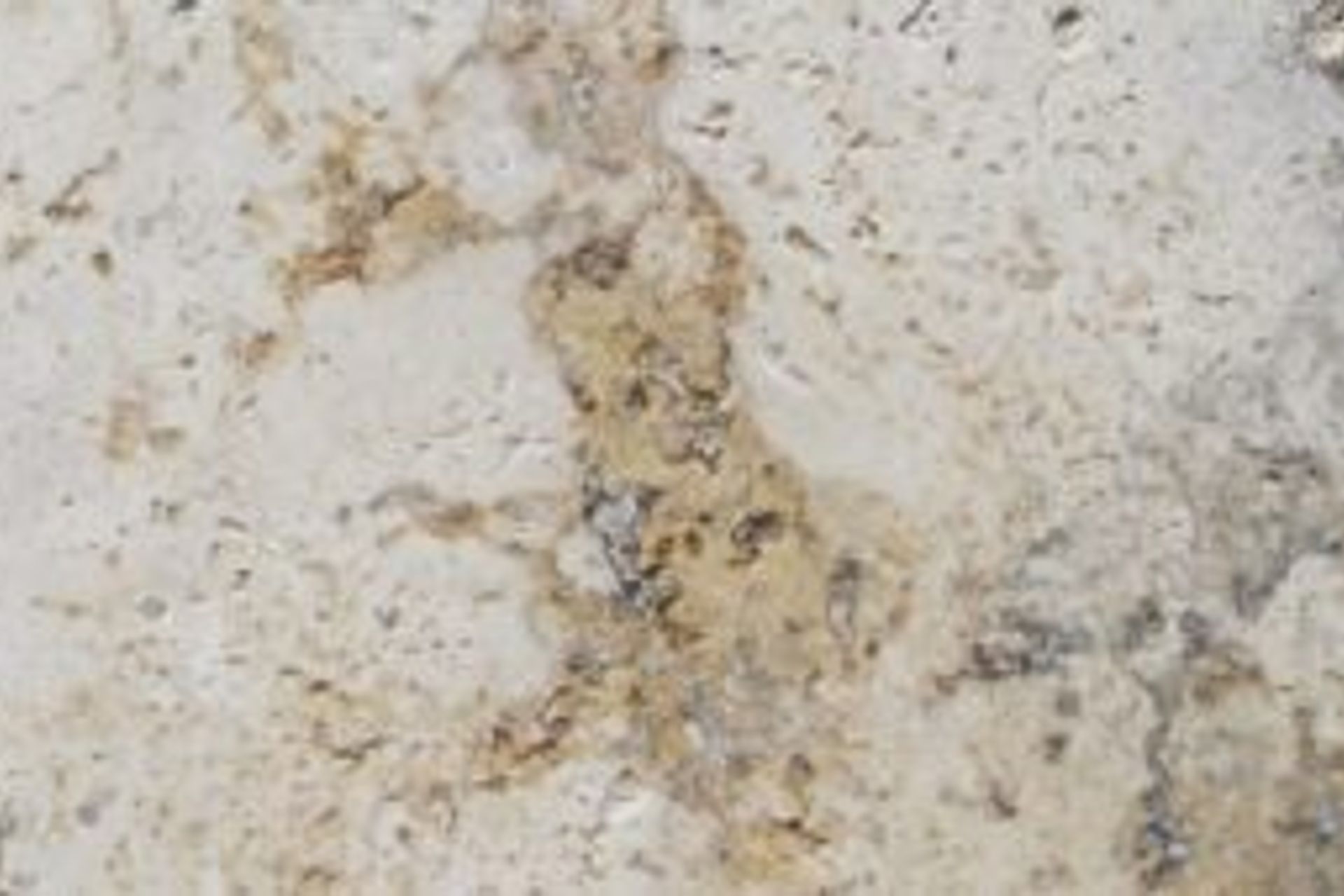 Natural Or Reconstituted Stone… What’s The Difference?