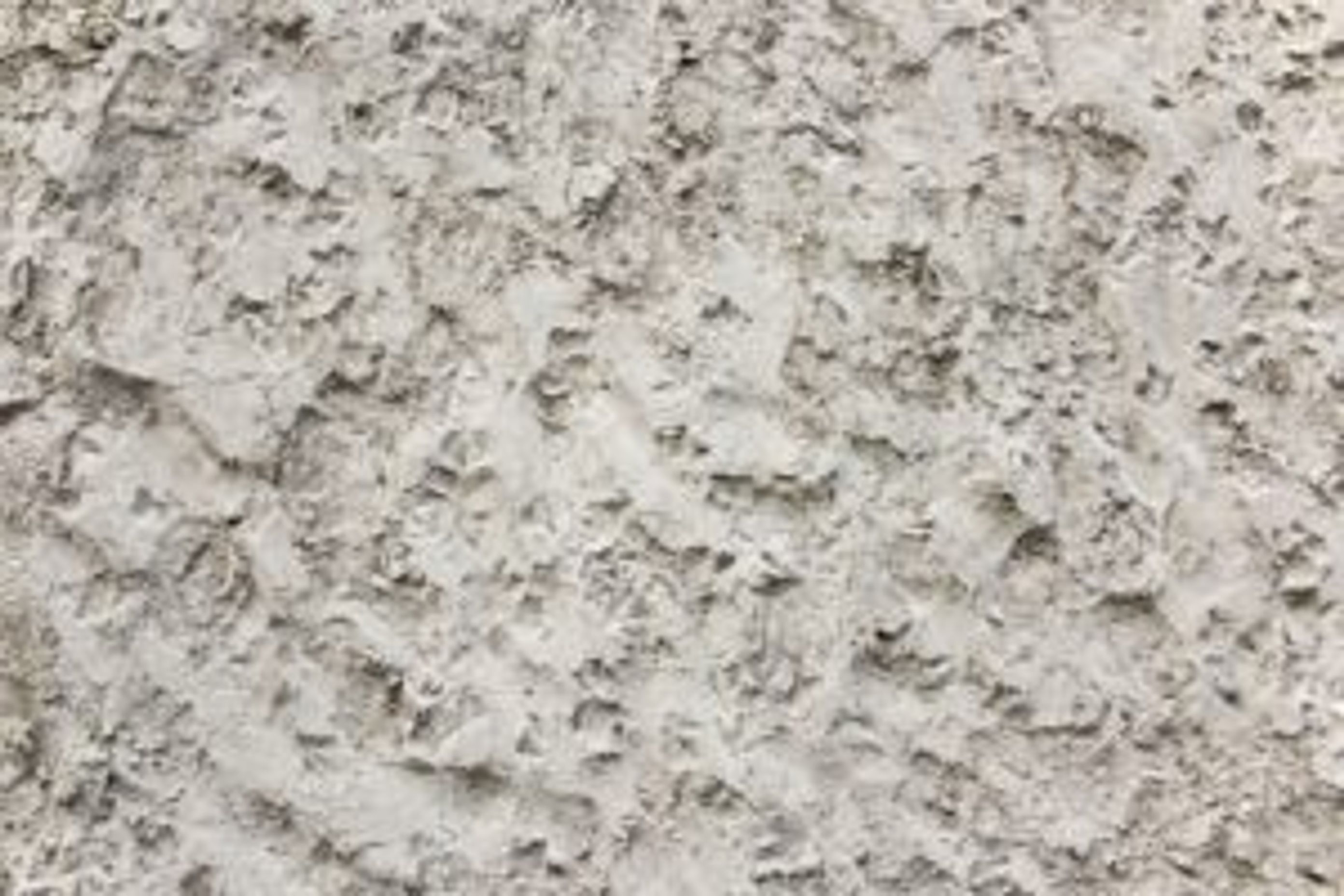 Things To Know About Rendering Your Home