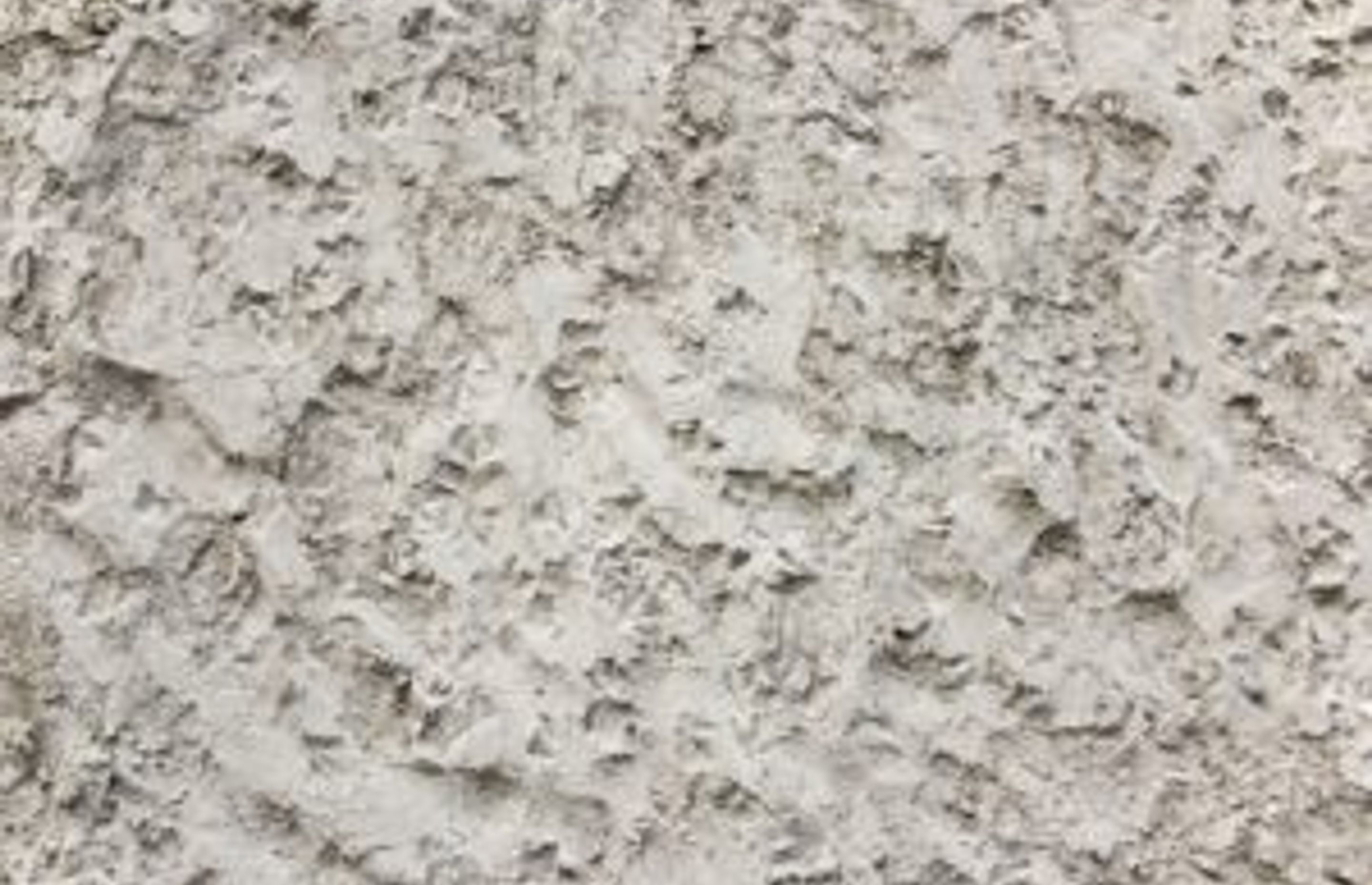Things To Know About Rendering Your Home