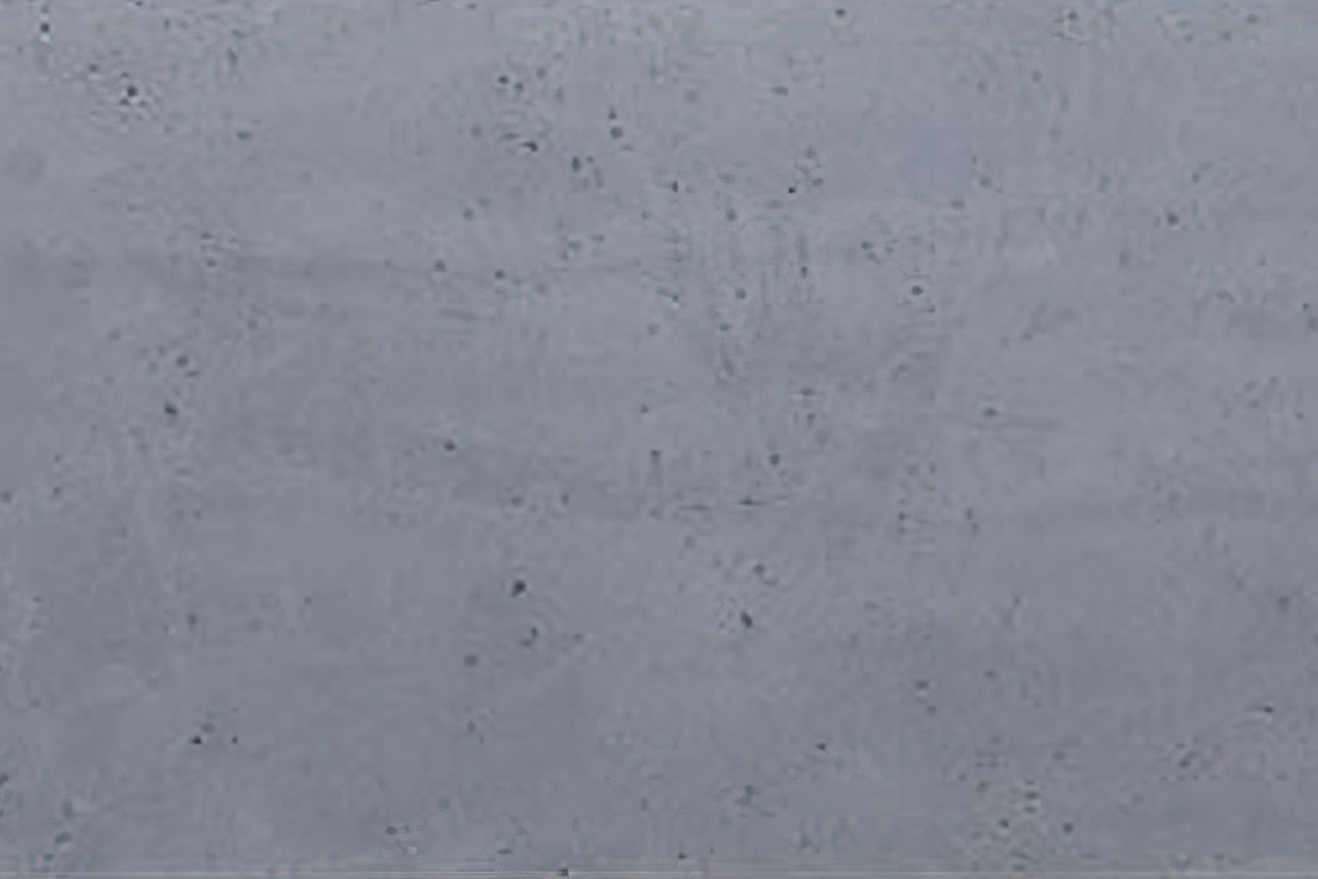 New Pitted Concrete Effects Panels On Trend For 2017