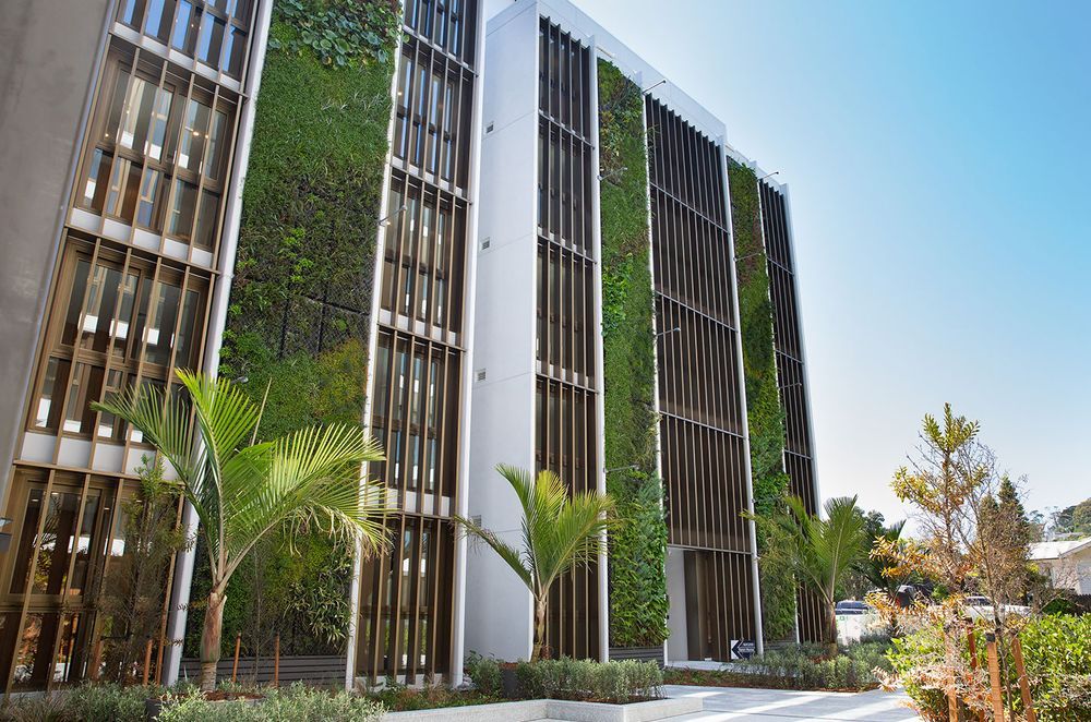 The St Marks development is the first residential development in New Zealand to be awarded a Homestar innovation point for green walls as part of its drive to achieve Green Star accreditation.