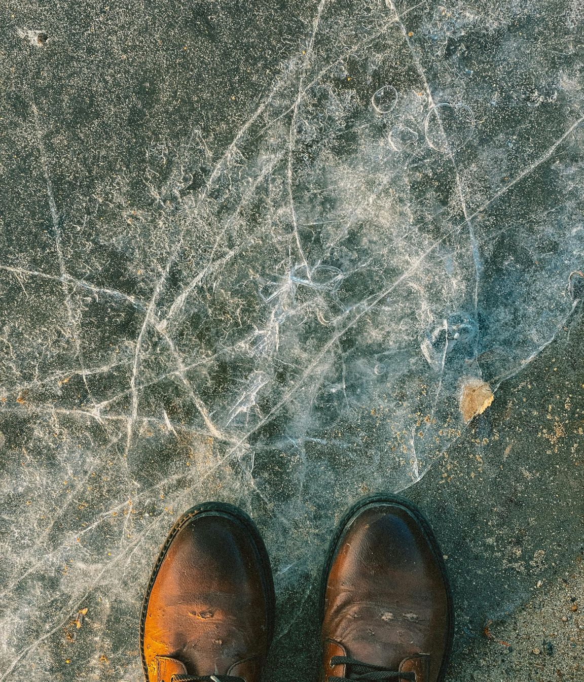 pexels-zh-ru-10204932.jpg