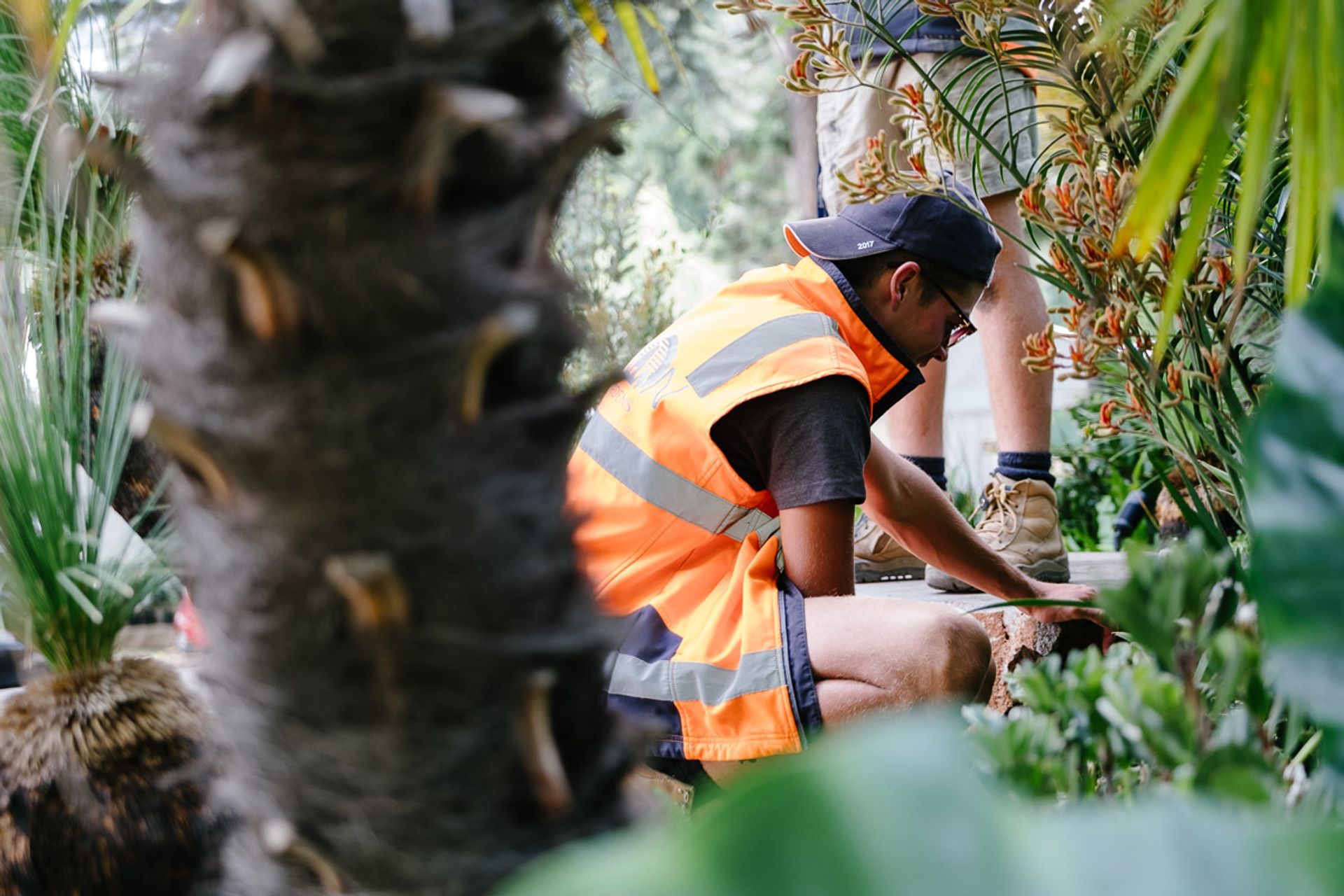 Melbourne International Flower & Garden Show