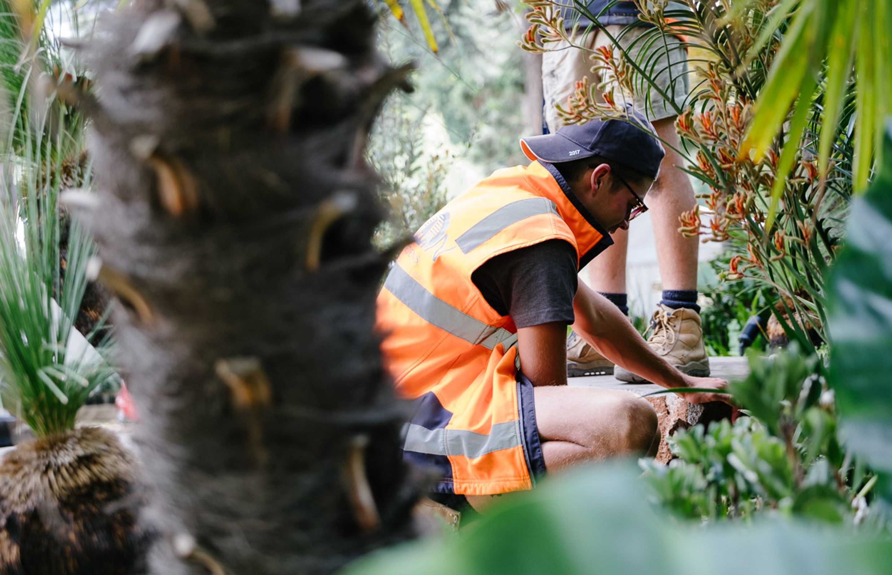 Melbourne International Flower & Garden Show