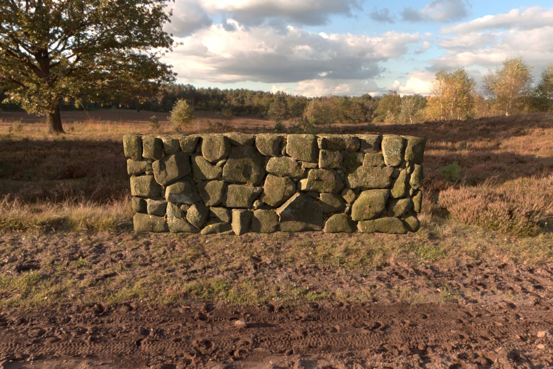 Rendered with V-Ray using an HDRI domelight