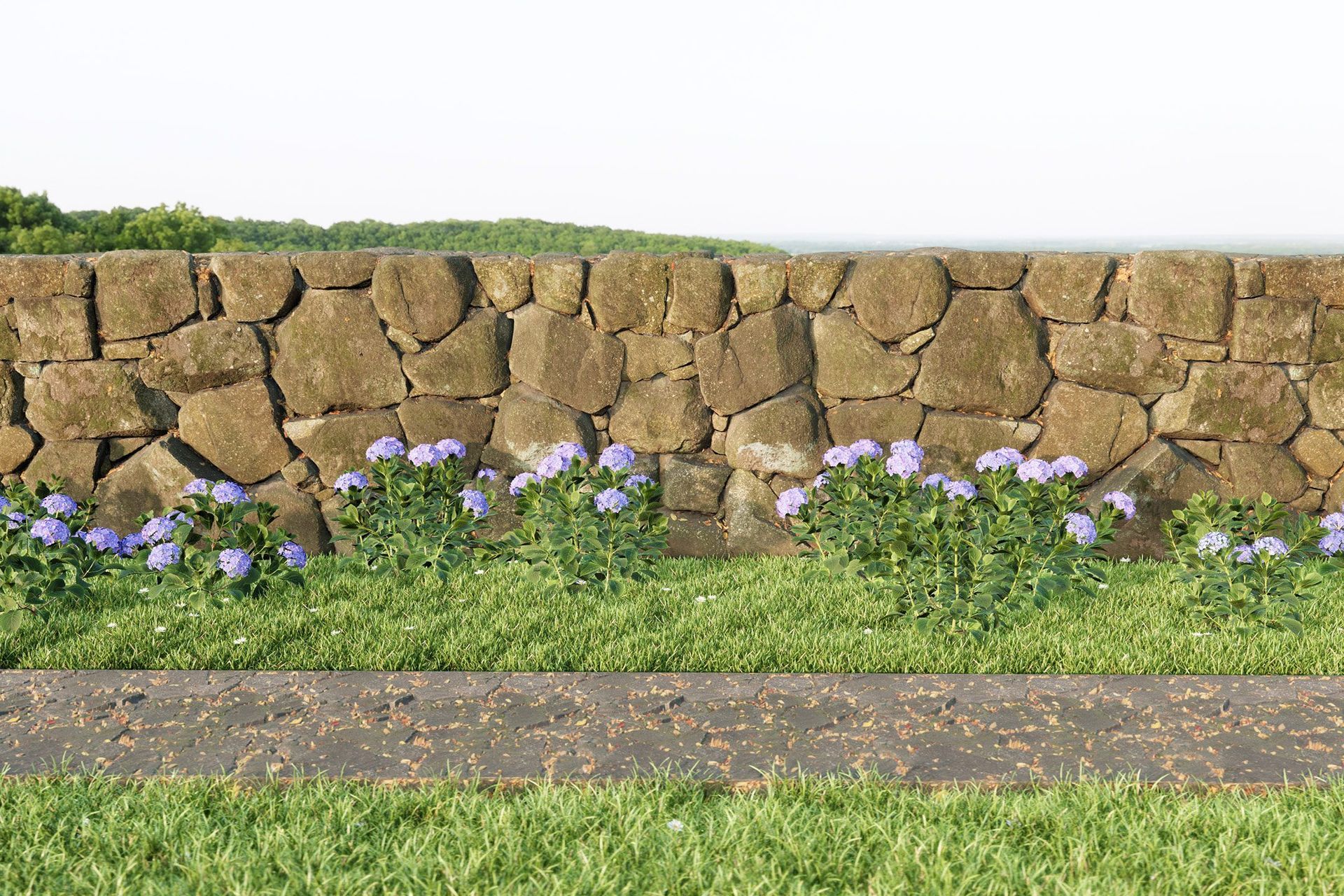 How to import free high quality assets into SketchUp with Quixel Bridge & Transmutr