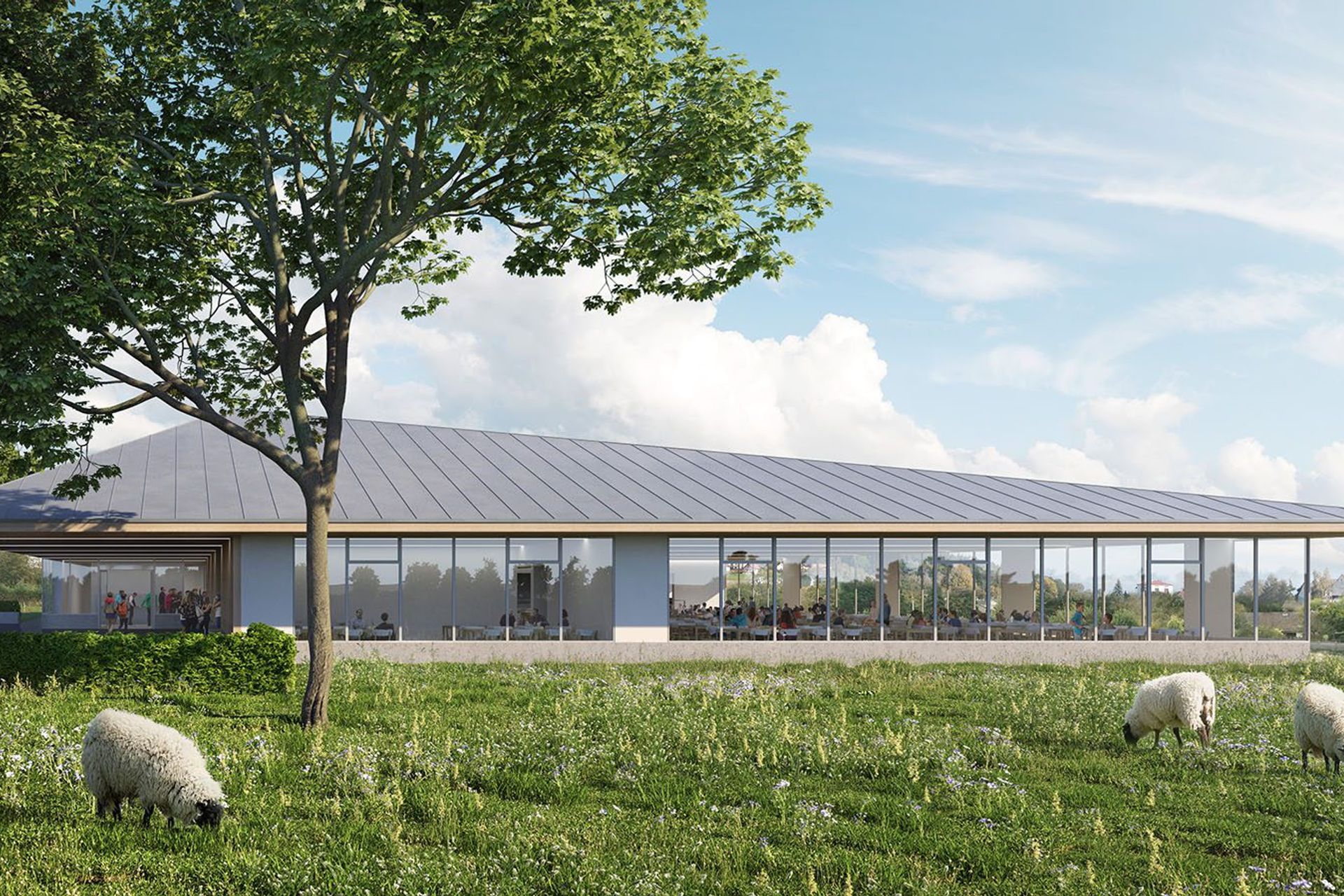 How to import free high quality assets into SketchUp with Quixel Bridge & Transmutr