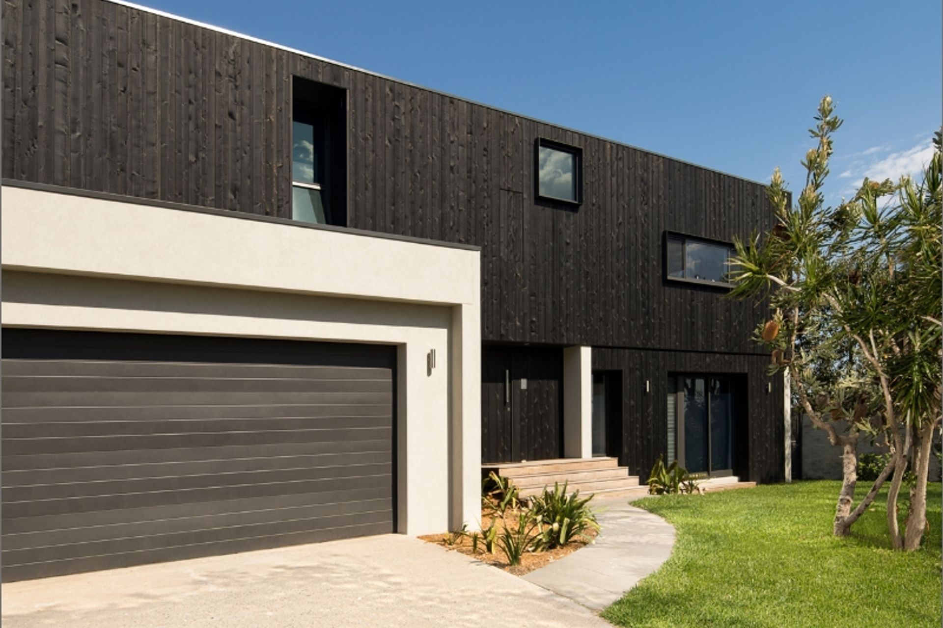 Mood Timber - BeachClad