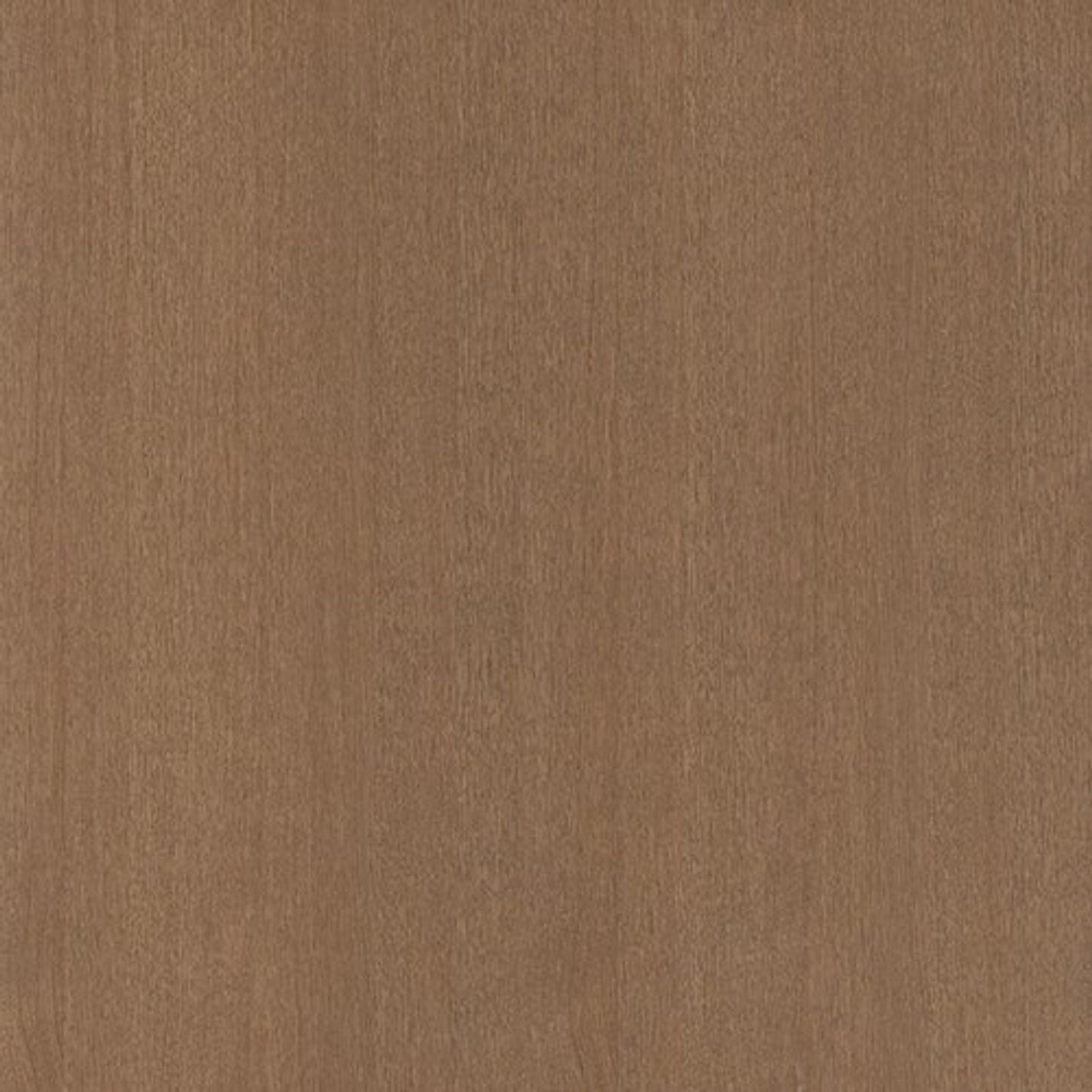 productimage-v7857936114.jpg