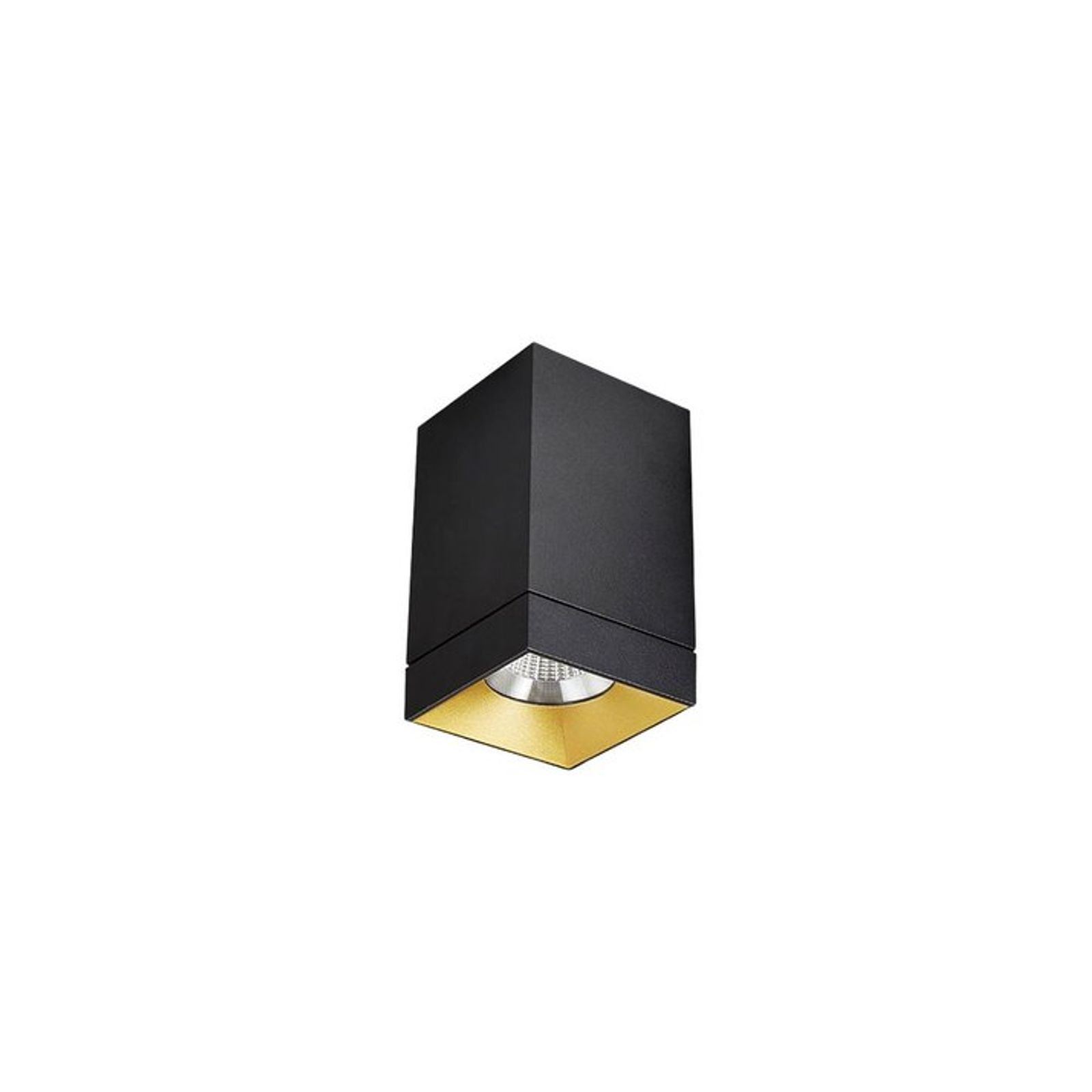 productimage-vee5a5e4ecc.jpg