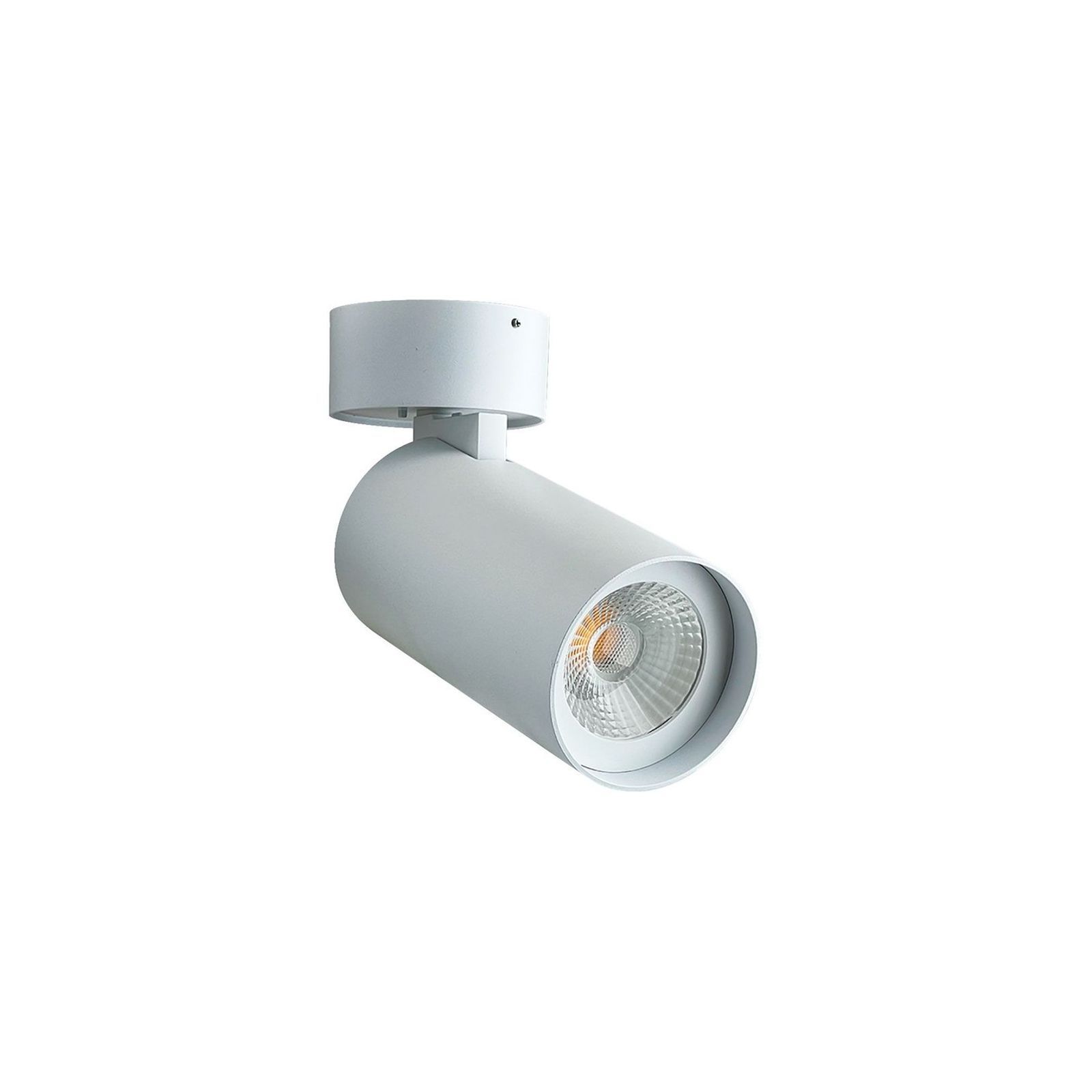productimage-vf918028898.jpg