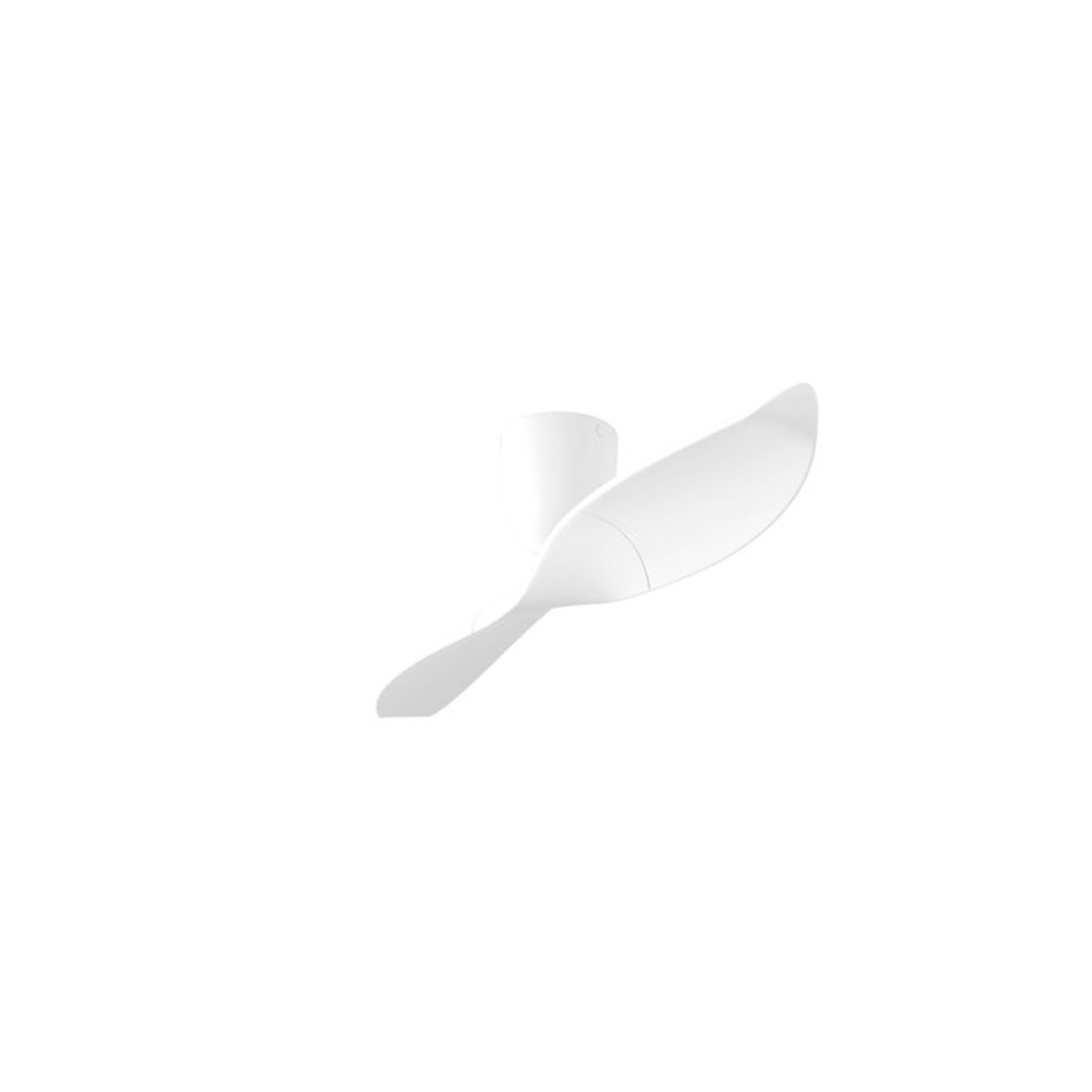 productimage-vf994710658.jpg