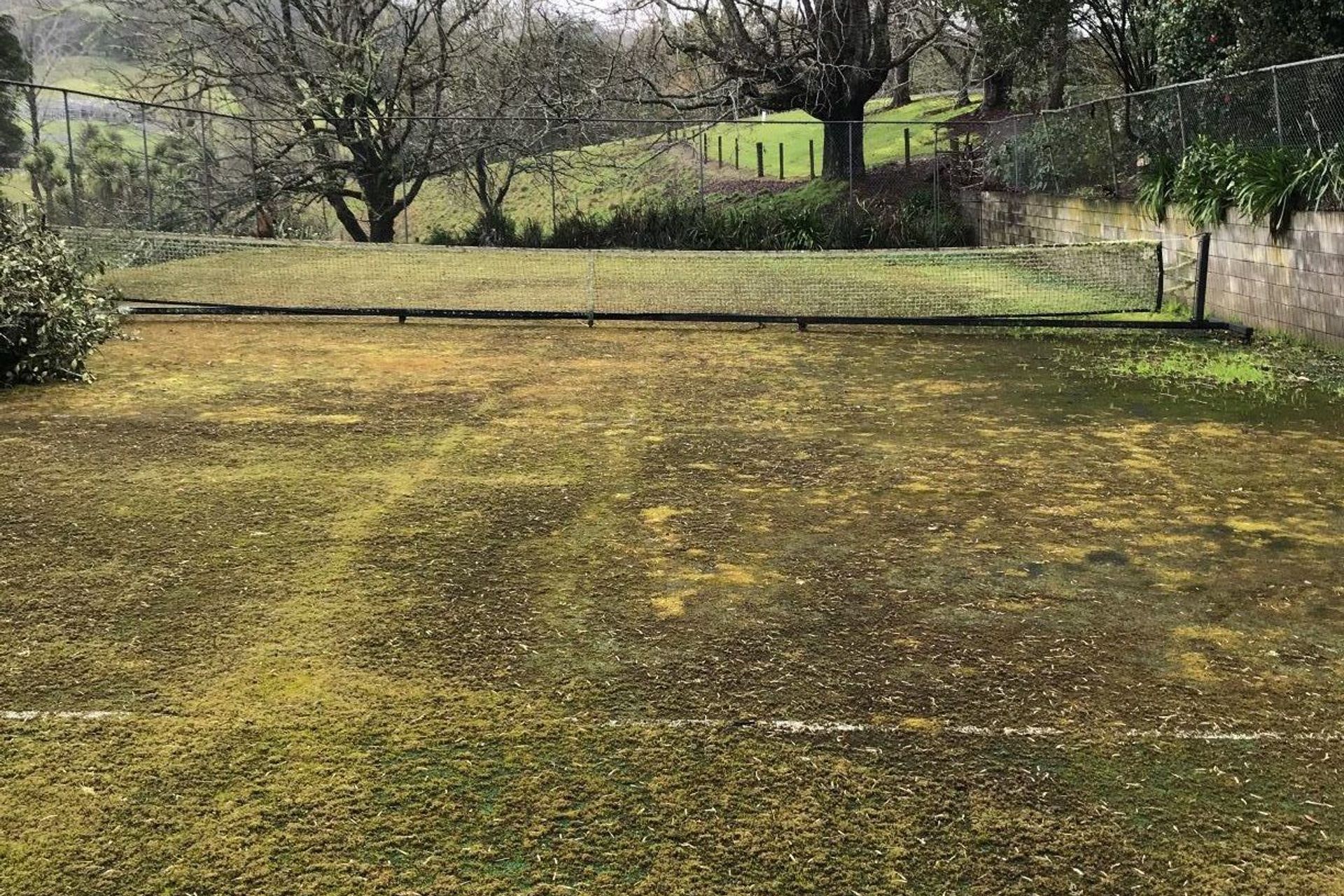 Before TigerTurf maintenance