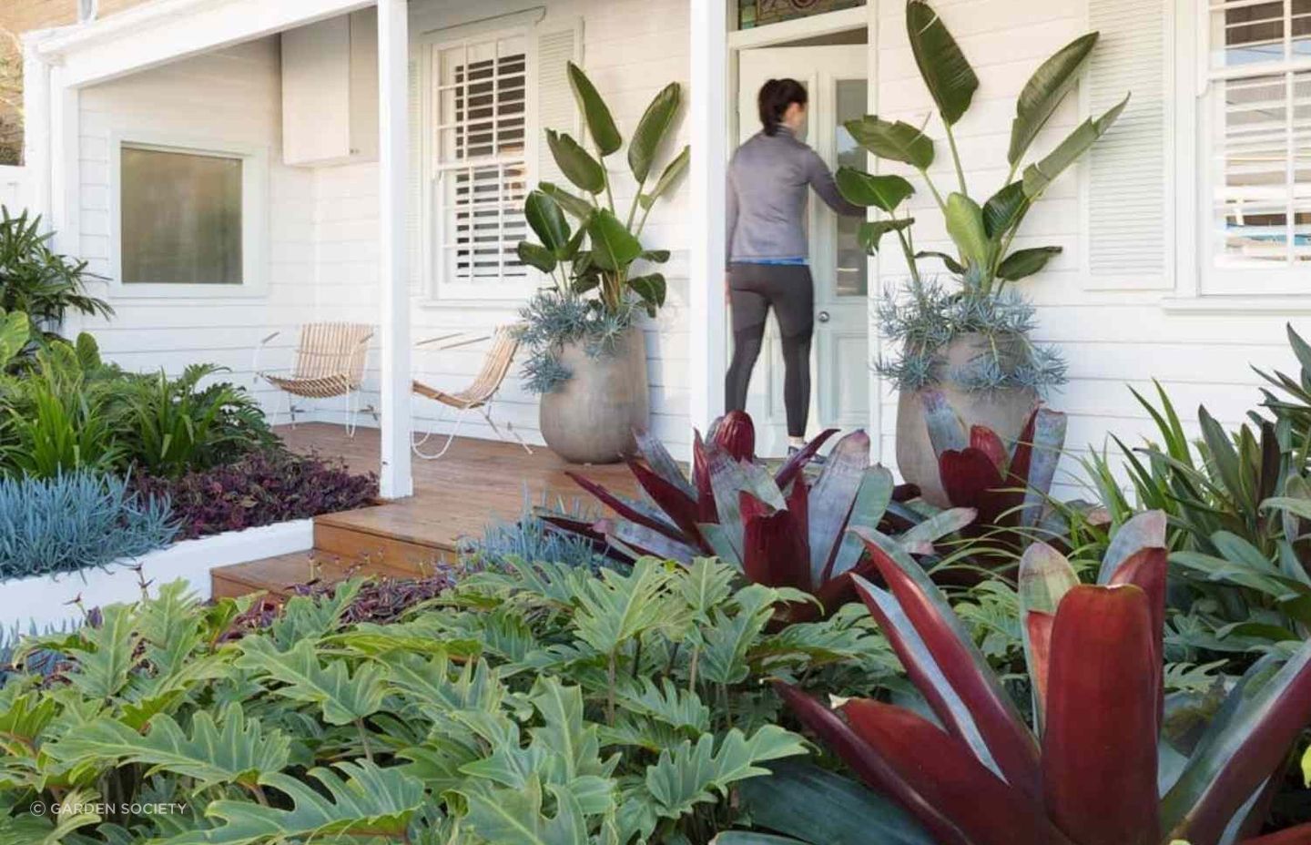 Leaves of all shapes and sizes can make up a garden