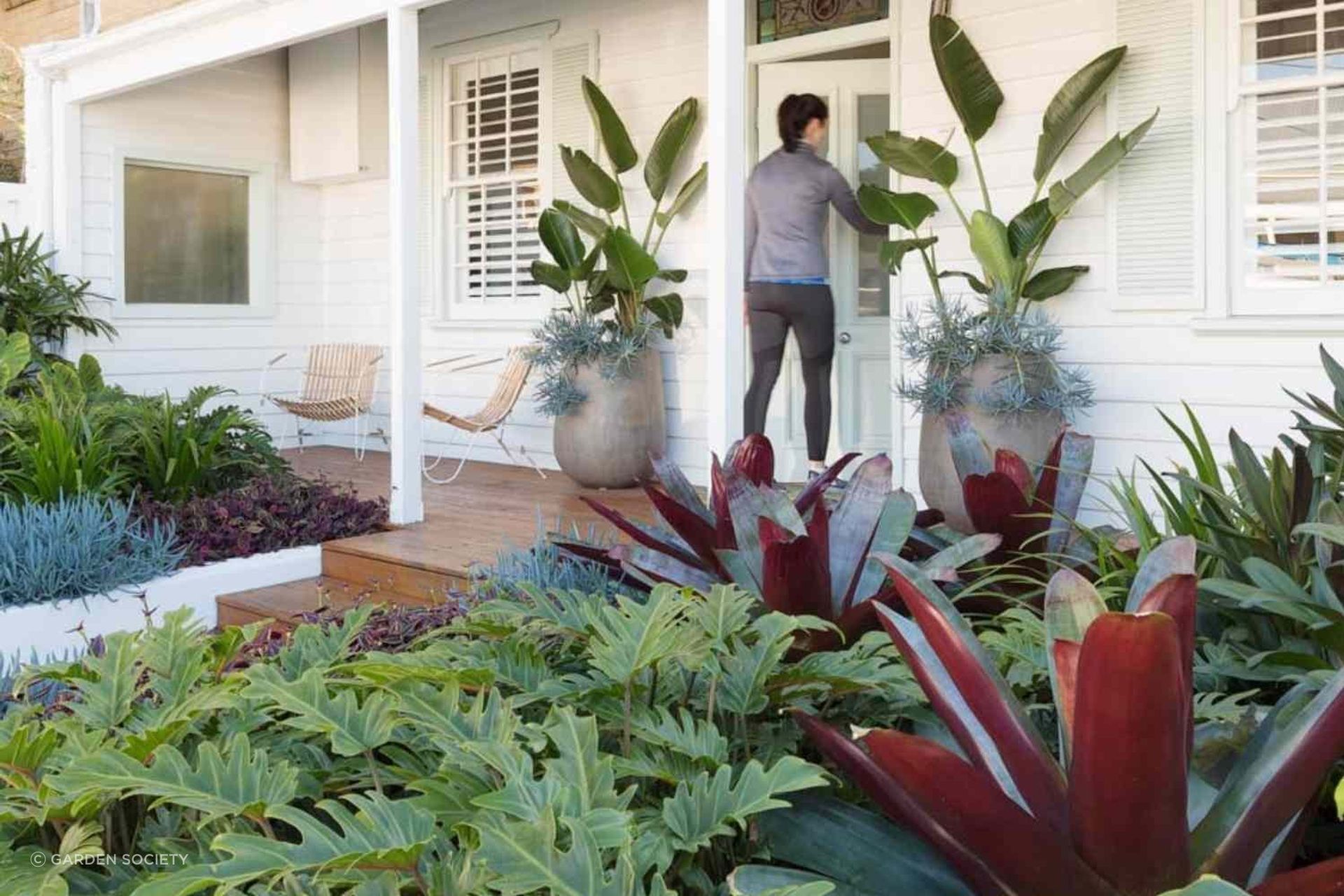 Leaves of all shapes and sizes can make up a garden