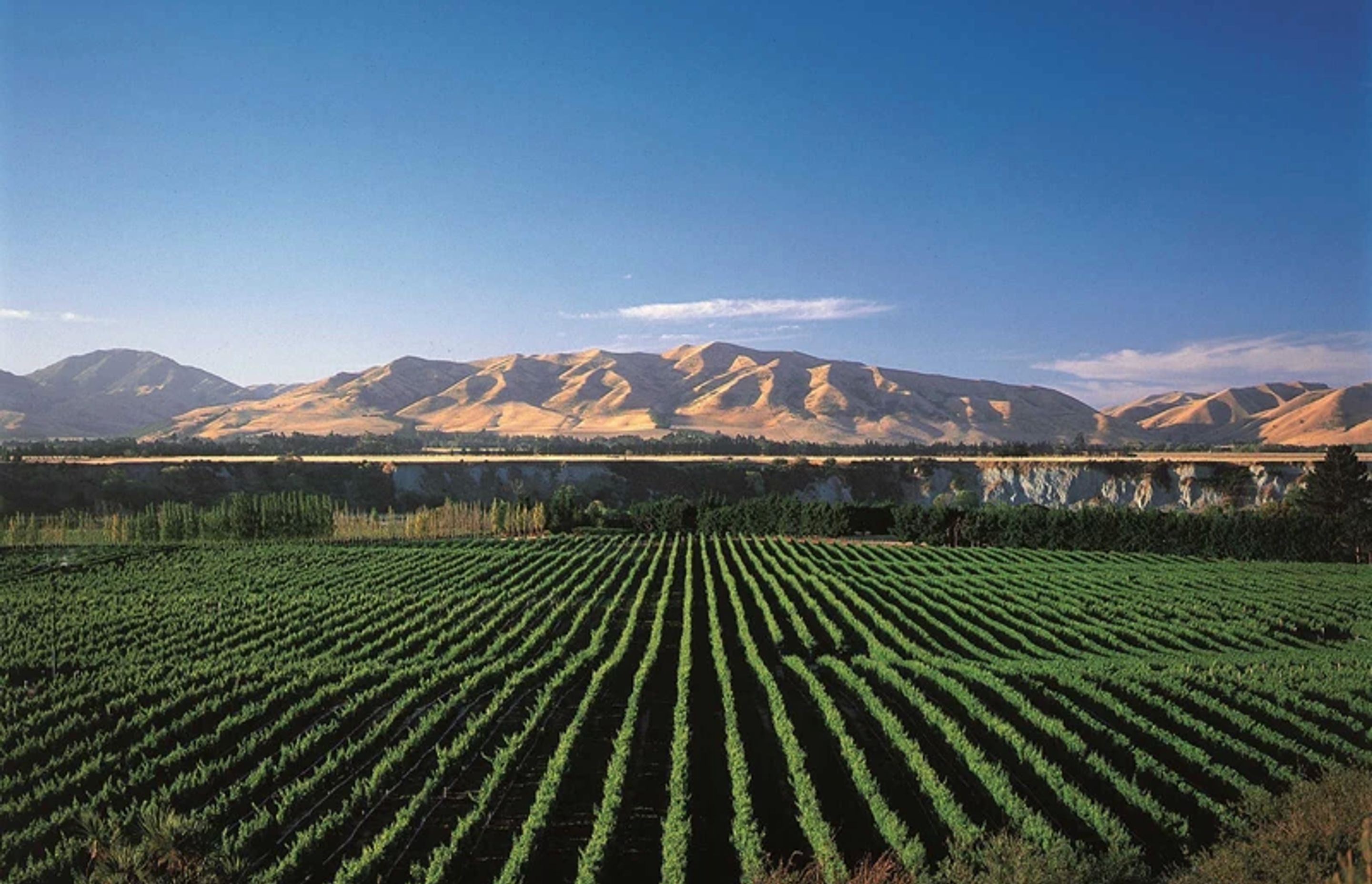5 reasons to move to Marlborough