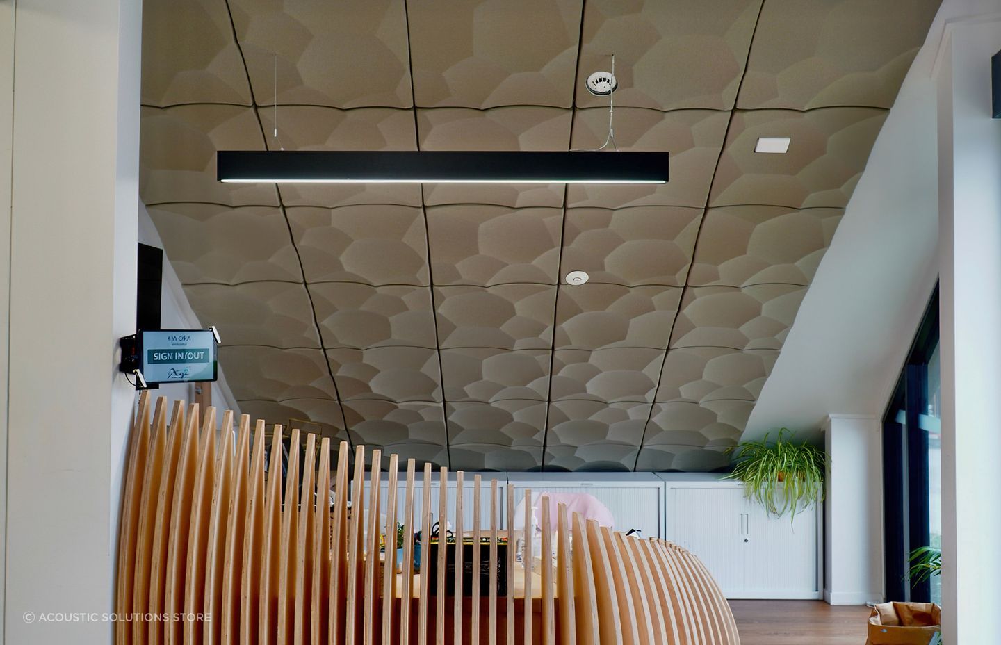 Can You Please Help Us With The Acoustics In Our Brand New Boutique School?