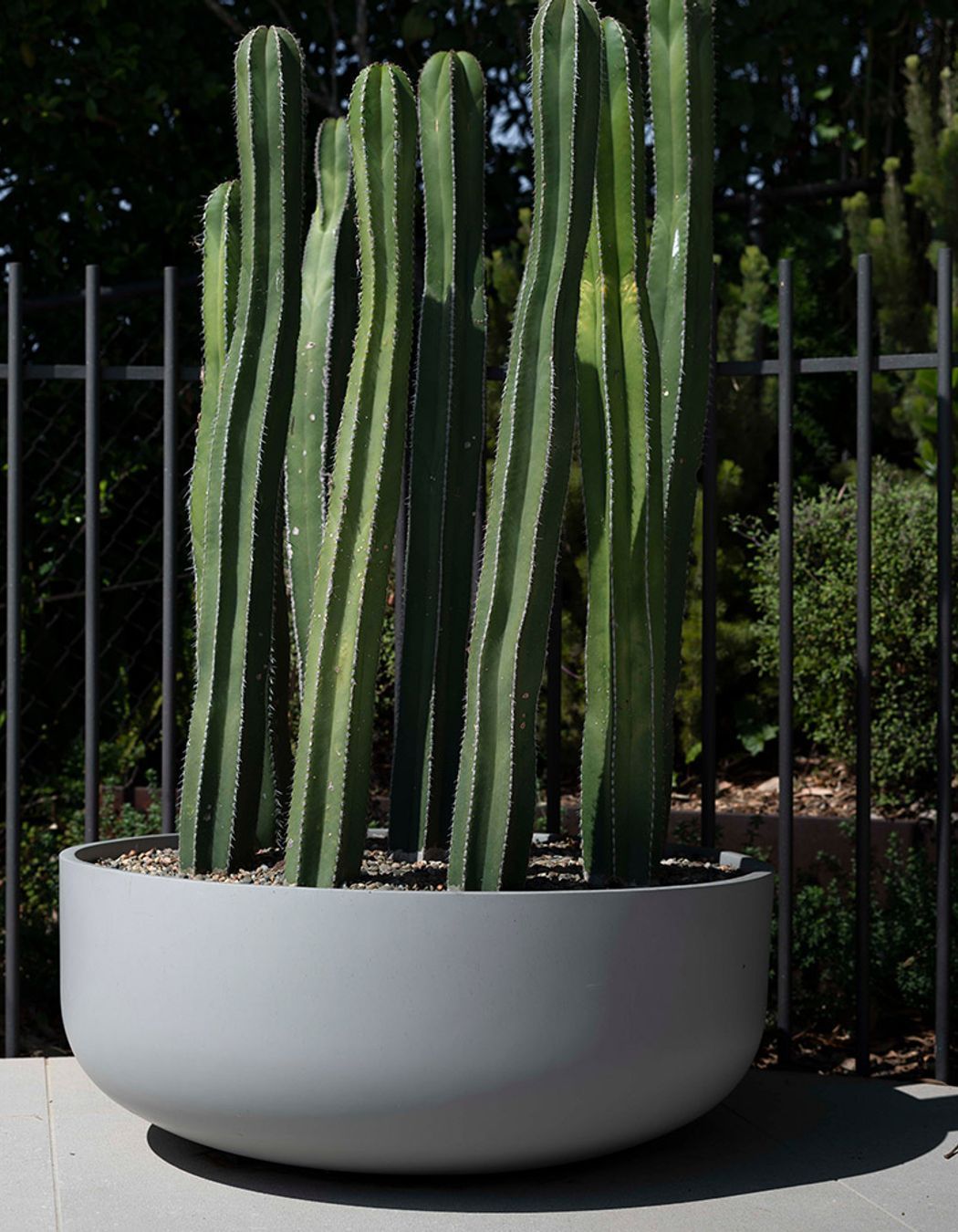 Christmas Gifts with Hibernate