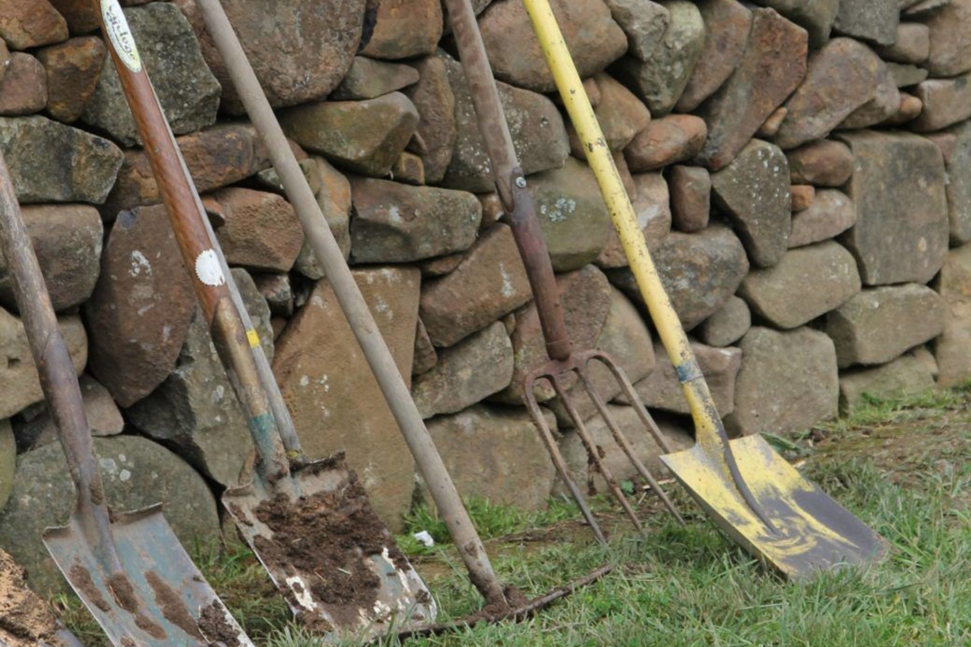 Gardening during Isolation