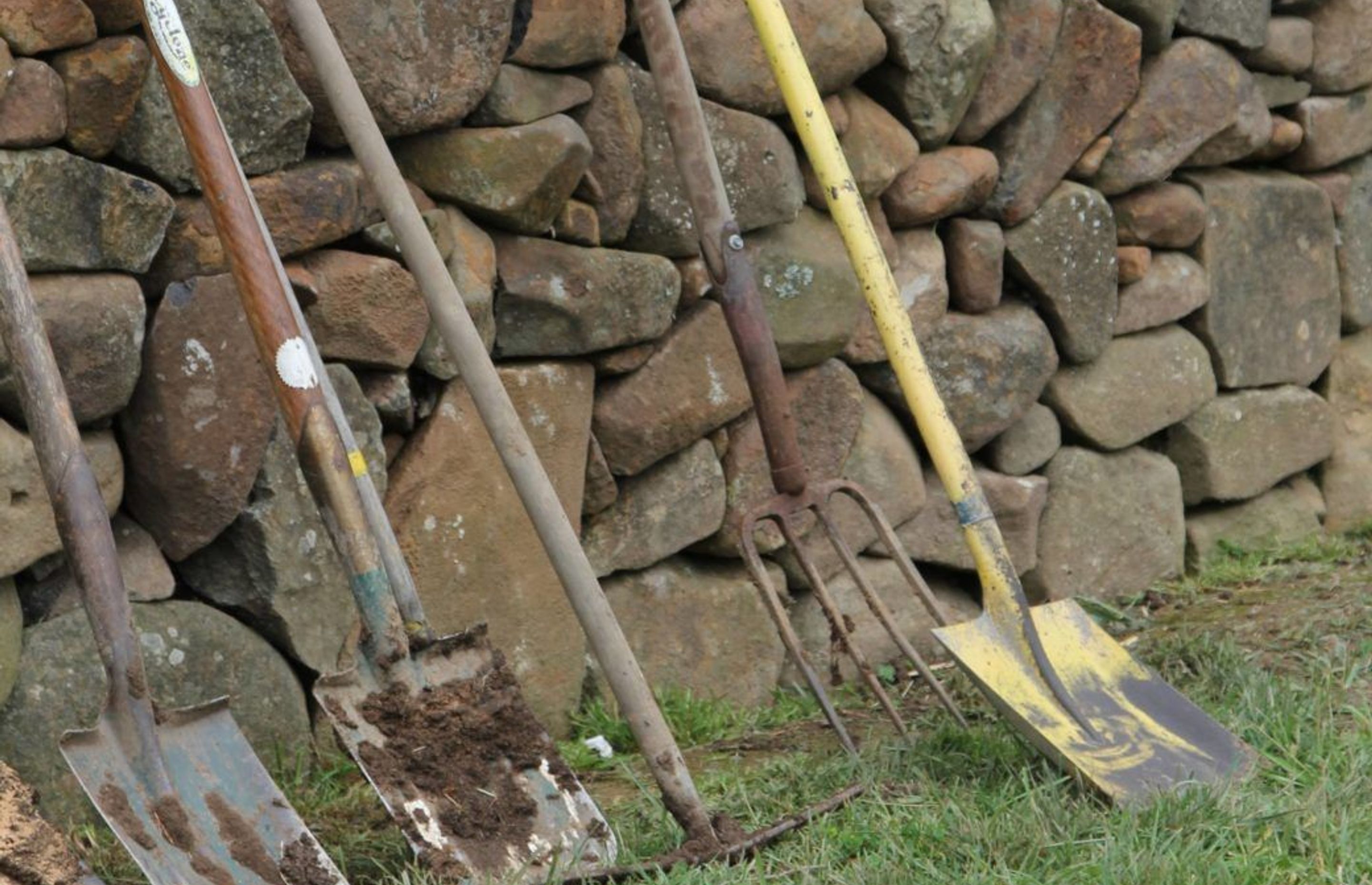 Gardening during Isolation
