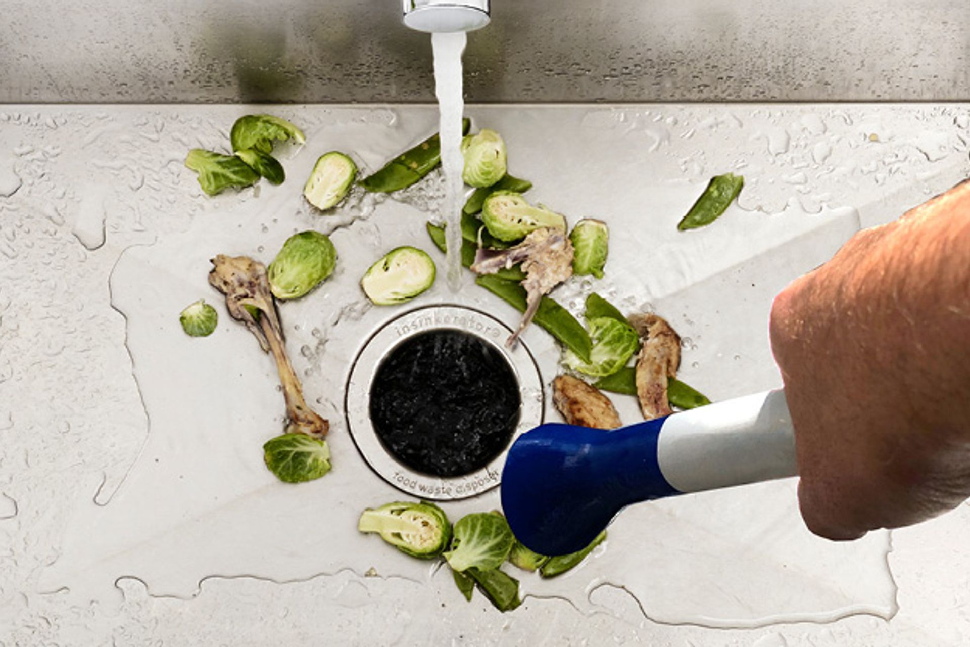 Managing Food Waste Tips