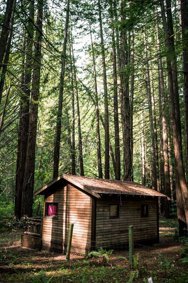 Tiny Houses and the Future of Young People