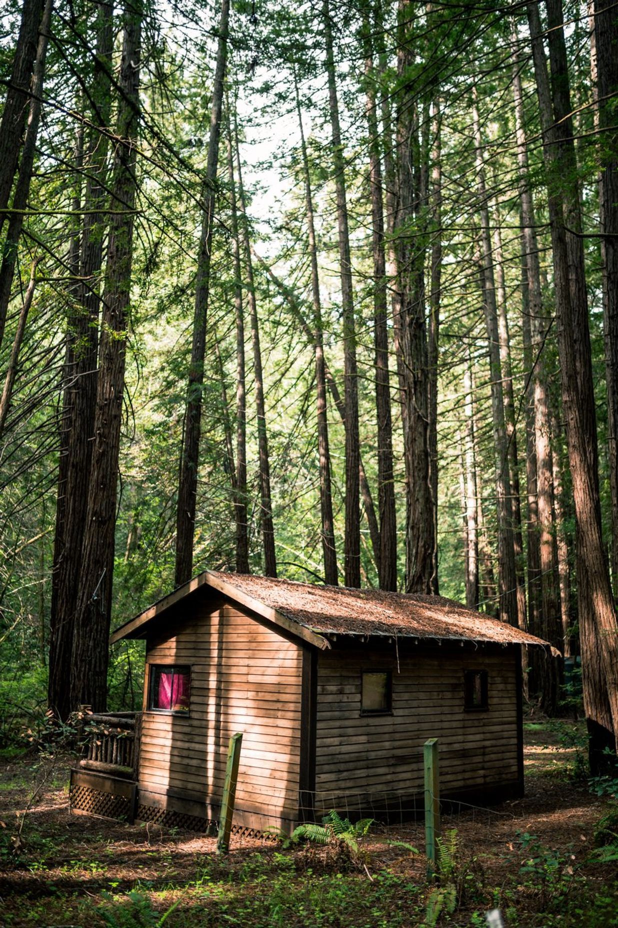 Tiny Houses and the Future of Young People