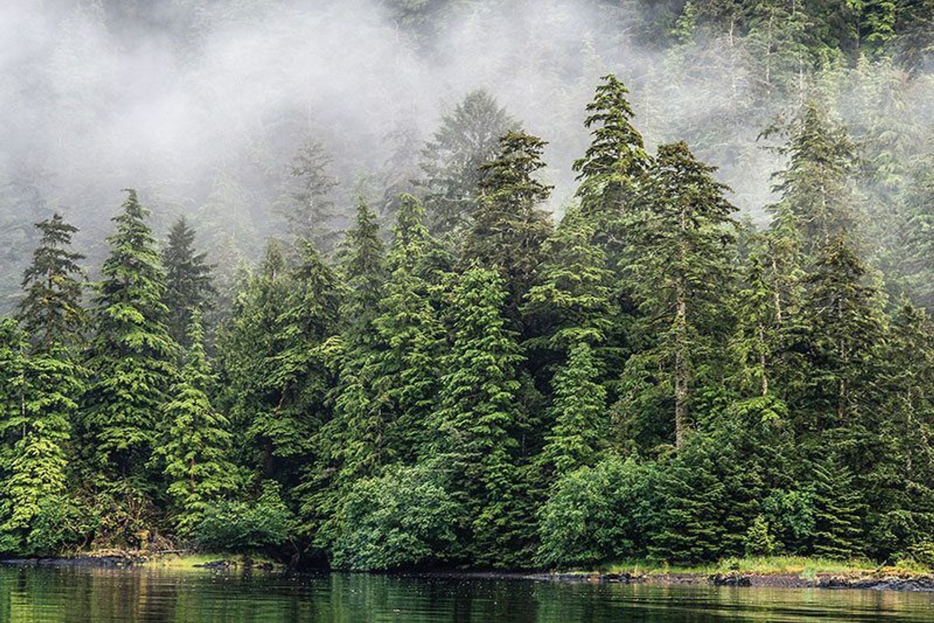 The material of choice: Why engineered timber flooring is increasingly specified