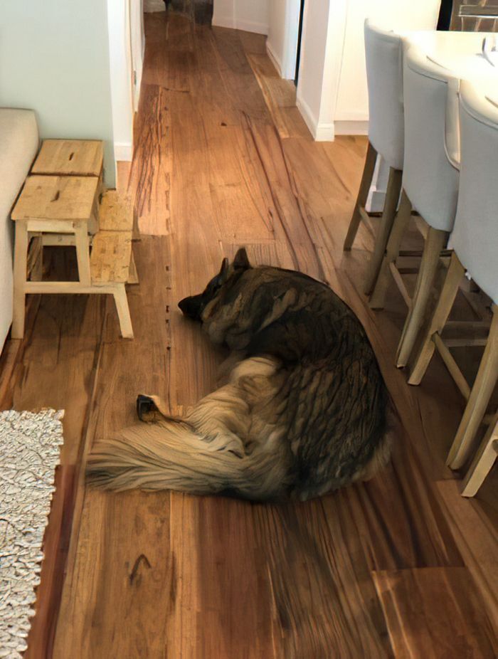 Solid timber flooring is typically made from a form of hardwood.