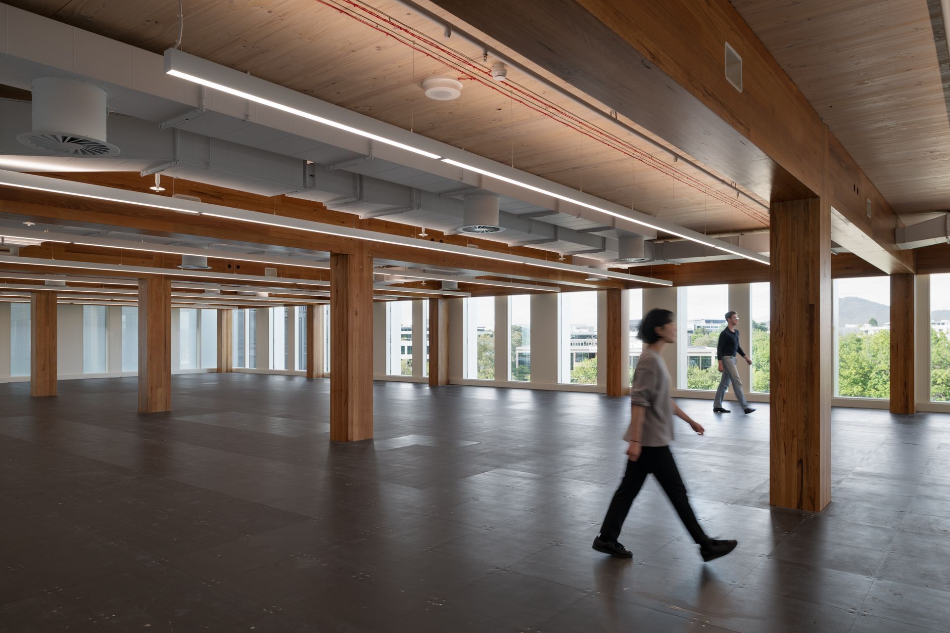 23 National Circuit in Barton ACT, featuring glue laminated engineered mass timber from ASH. Photo: Thurston Empson