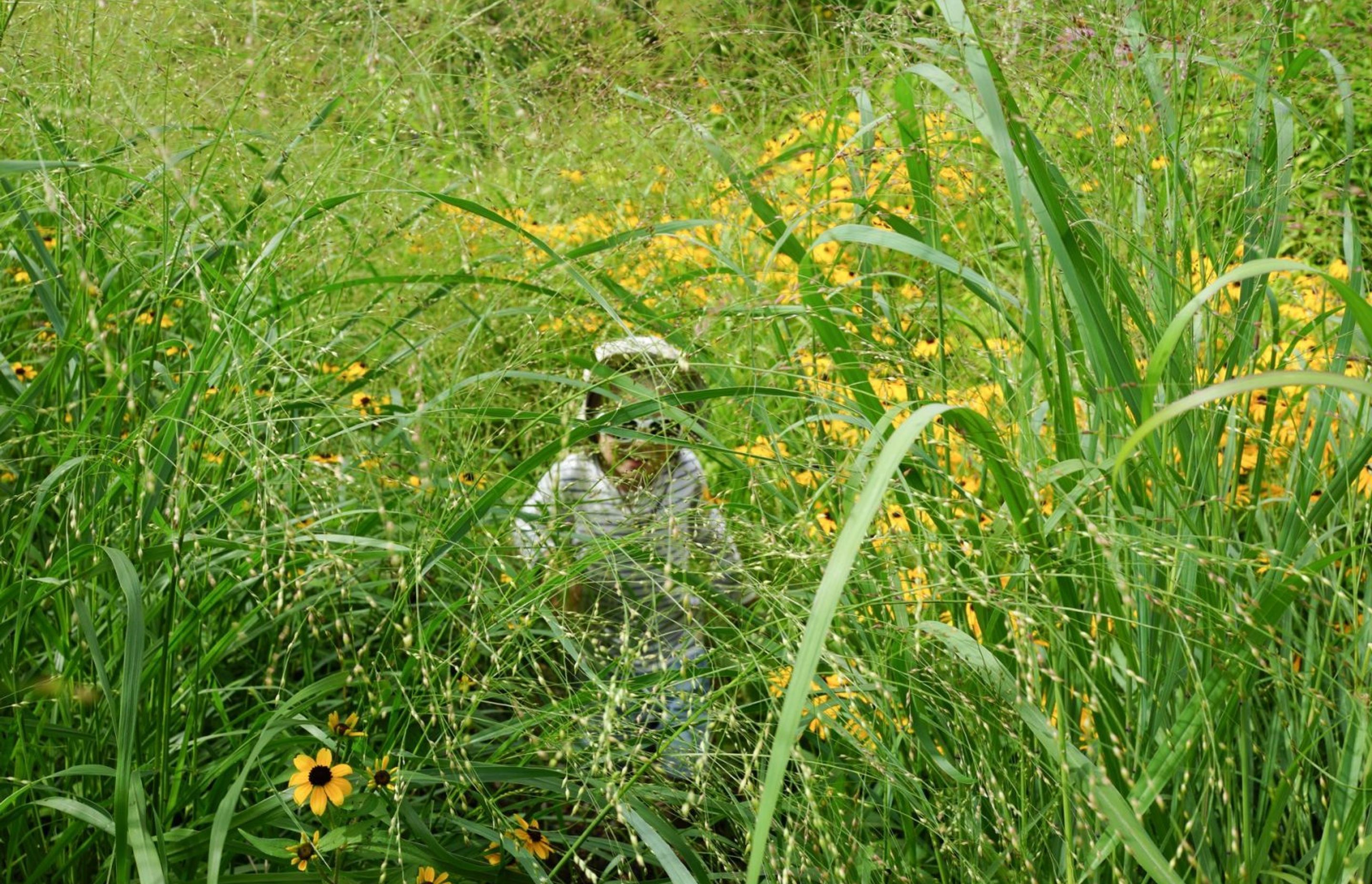 Toronto Botanical gardens – Piet Oudolf – Photo Andy Murray