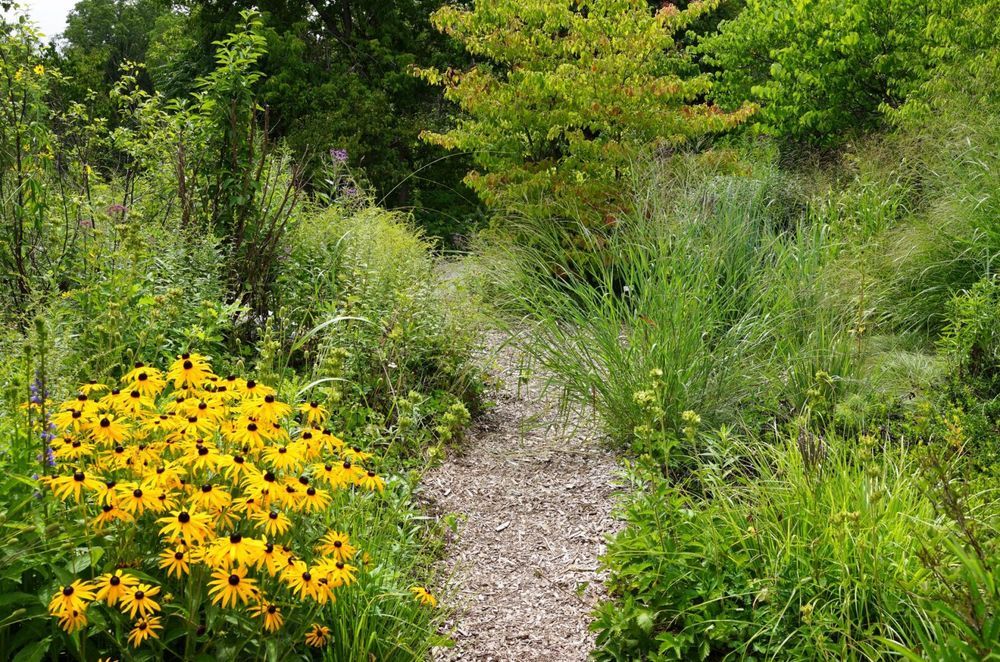 Toronto Botanical gardens – Piet Oudolf -Photo Andy Murray