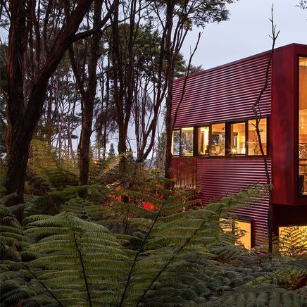 6 homes with striking cladding solutions