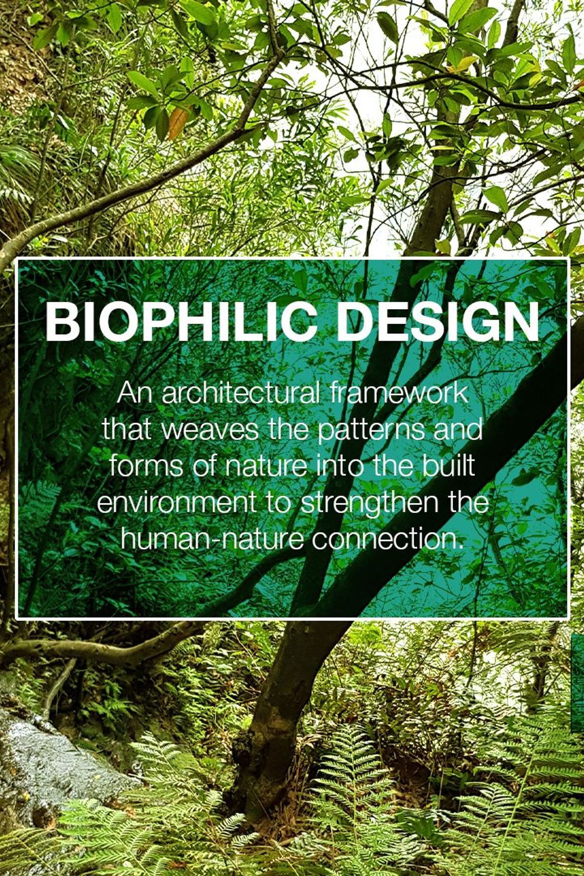 Biophilic Design