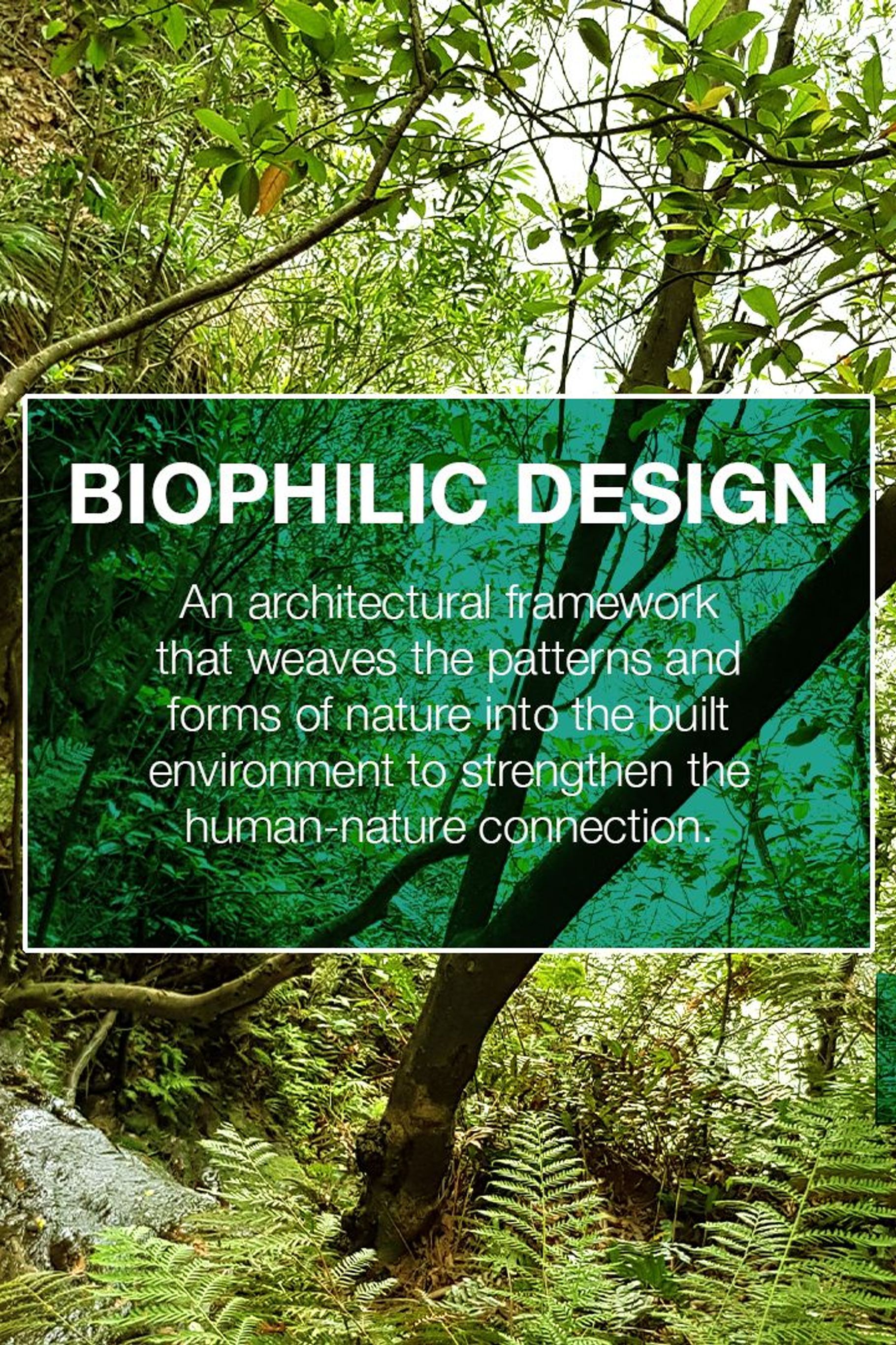 Biophilic Design