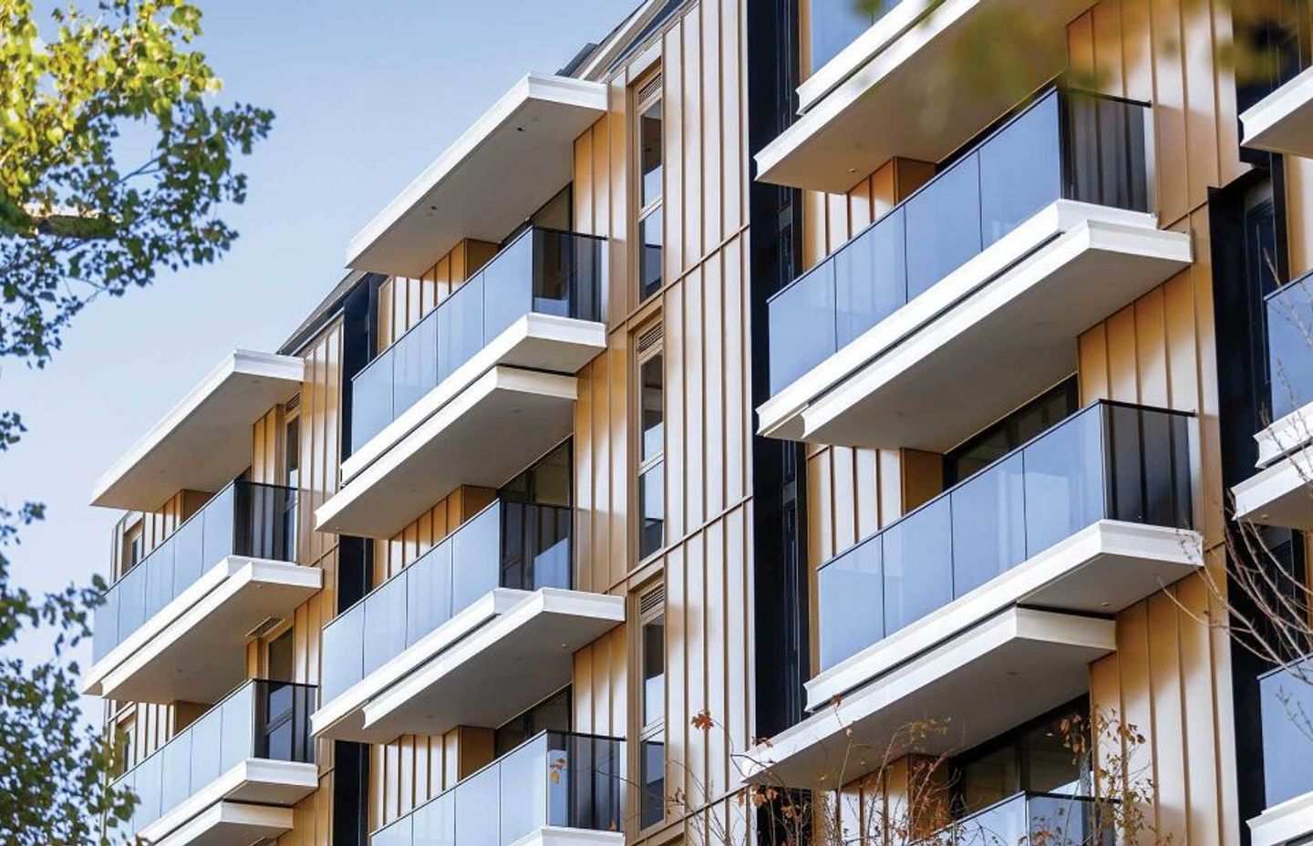 Balmain & Co Swaps Aconex for Procore