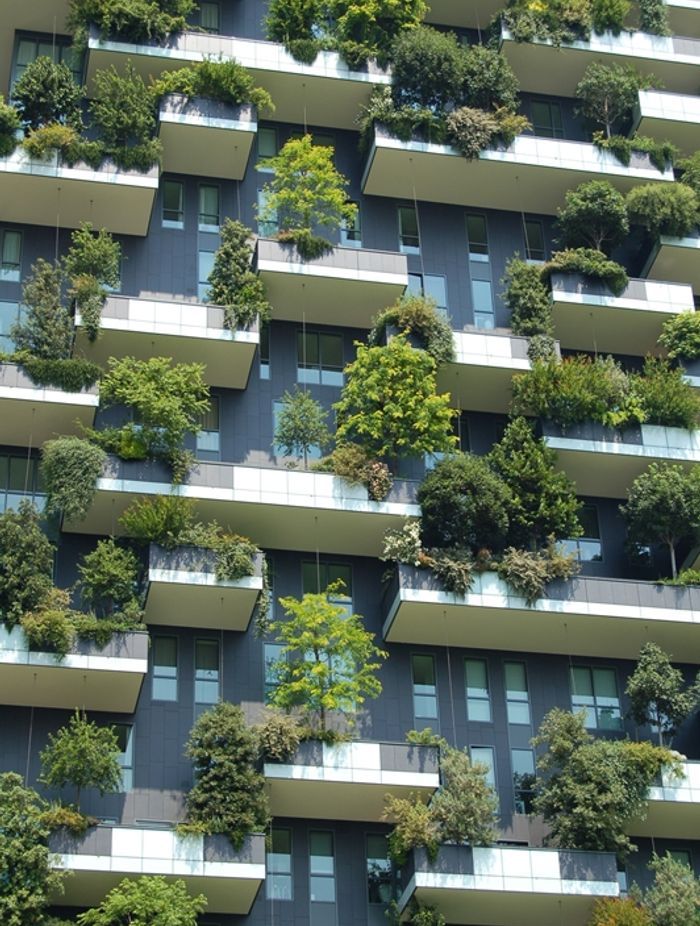 The Future of Building Sustainability in New Zealand