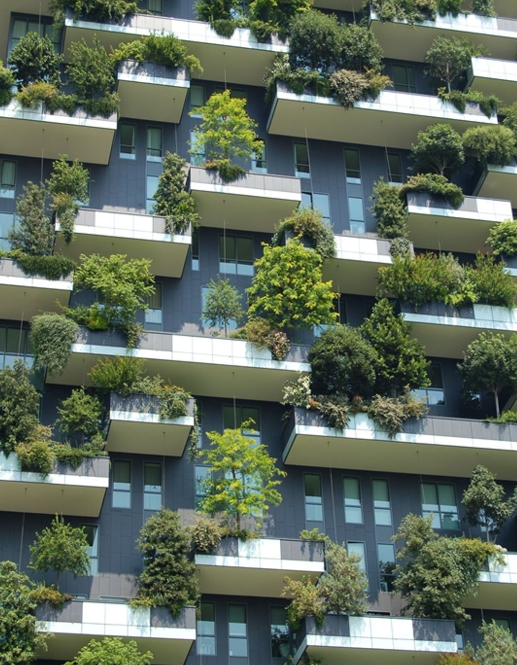 The Future of Building Sustainability in New Zealand