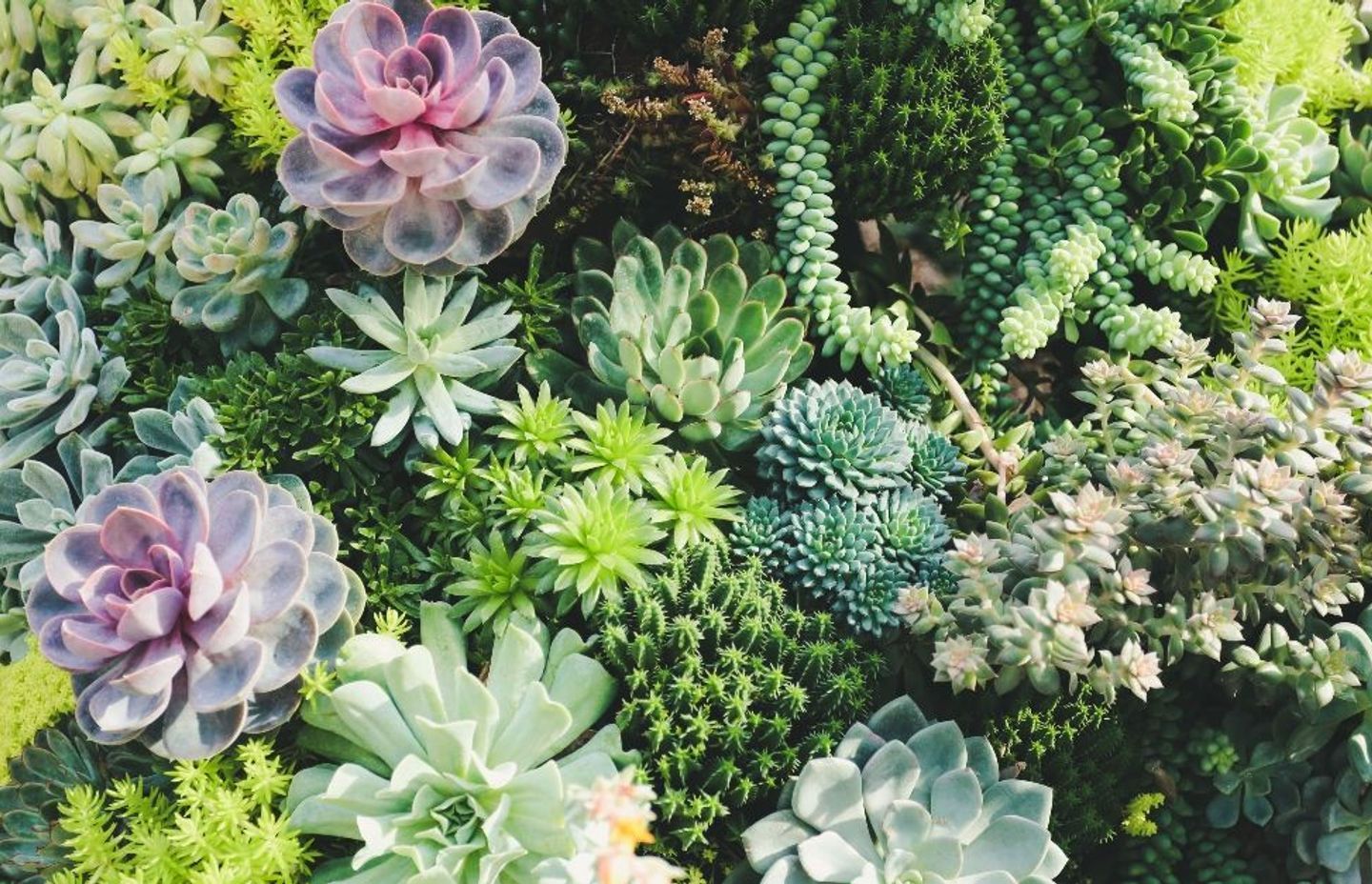 Outdoor Retreat Design Style