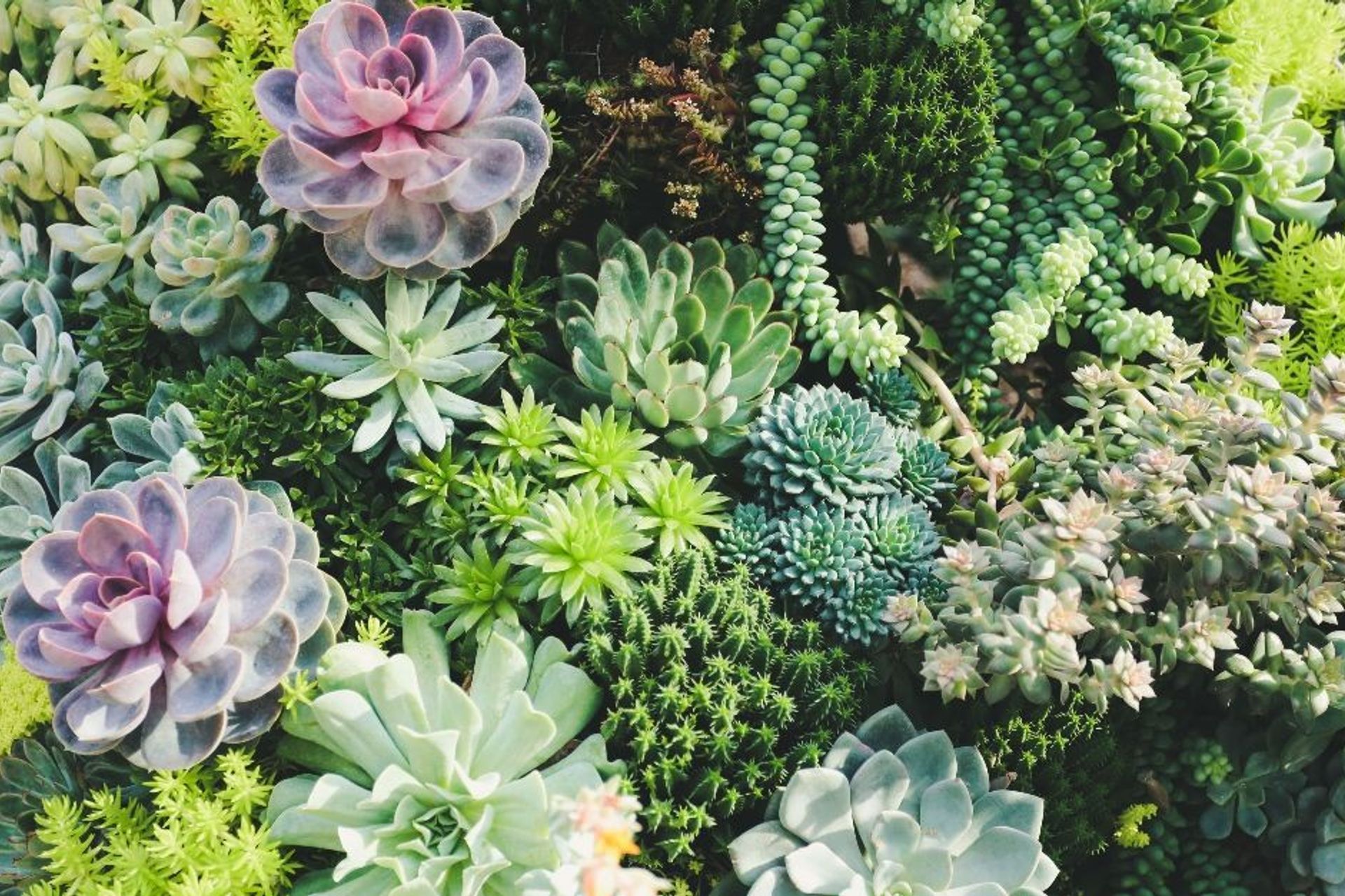 Outdoor Retreat Design Style