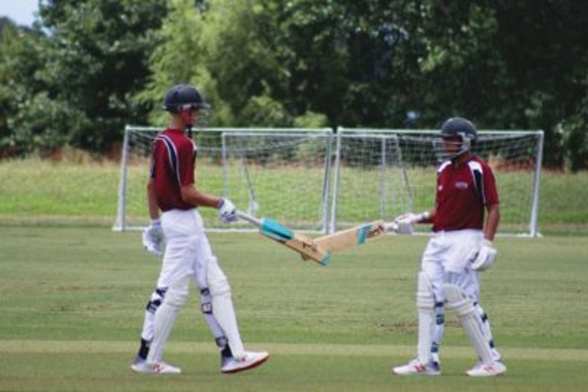 The Expert Guide to Sports Turf