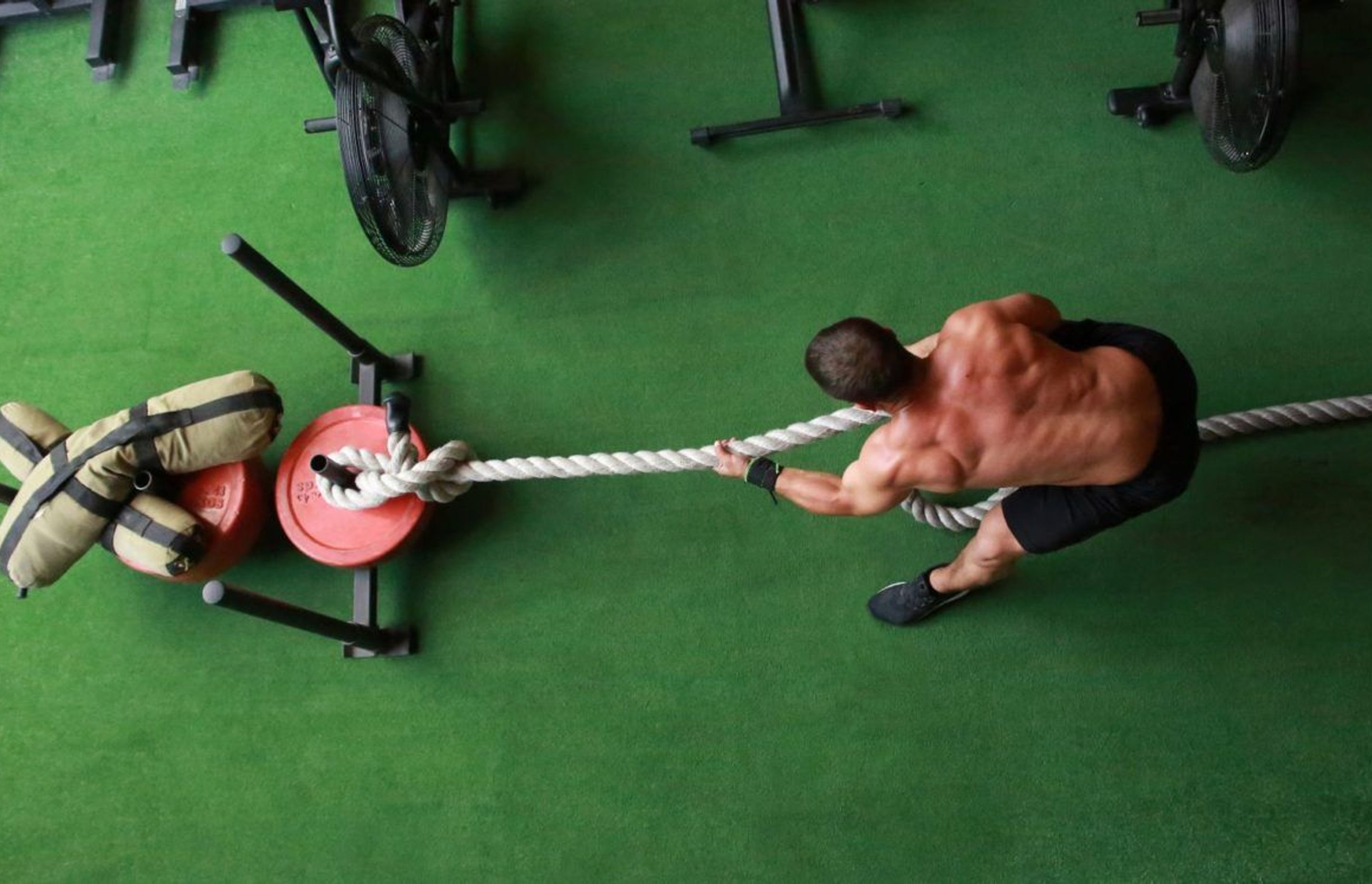 Four Reasons You Should Install Synthetic Grass at Your Gym
