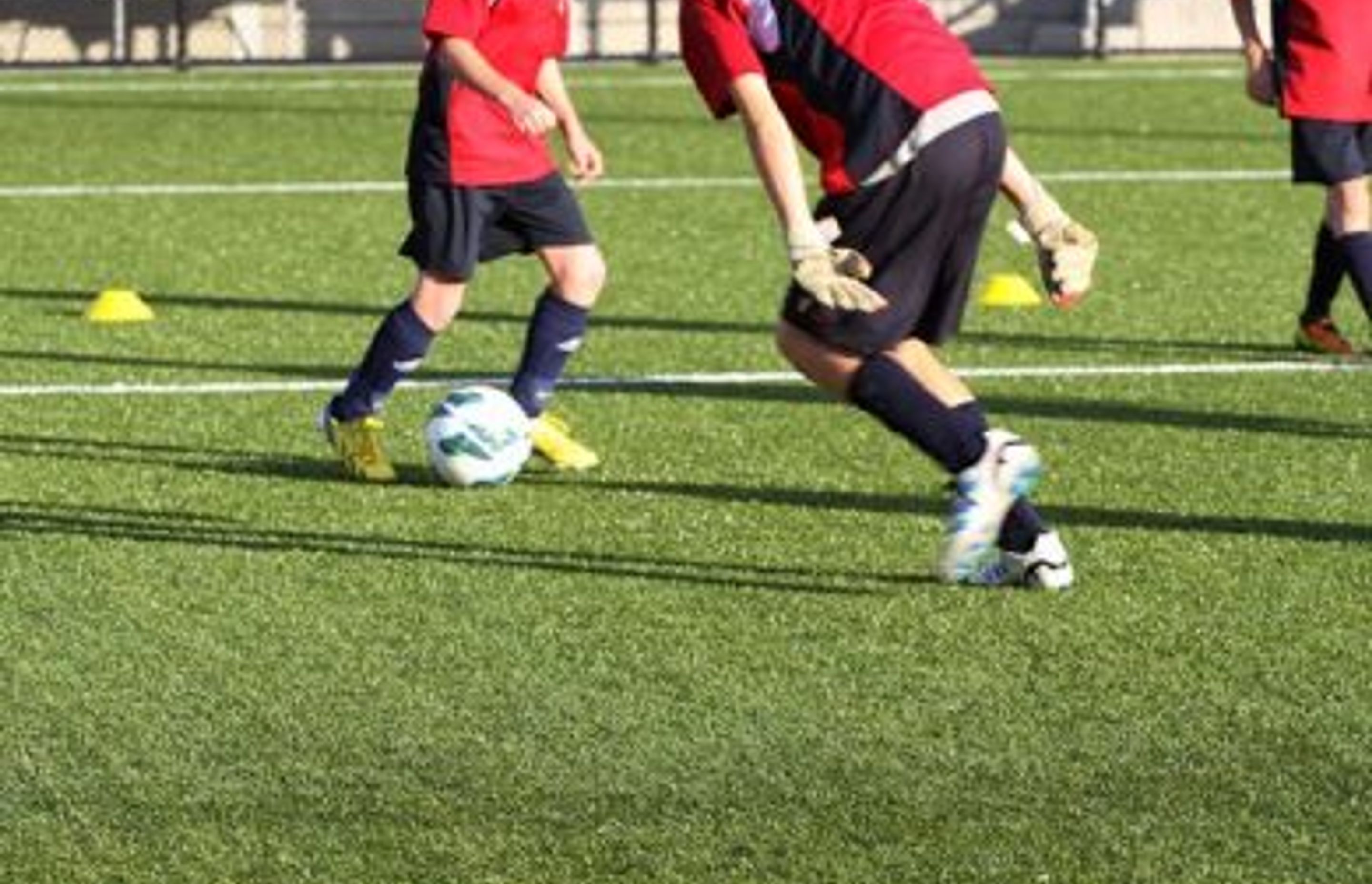 Dynamic & Durable Synthetic Grass for Schools