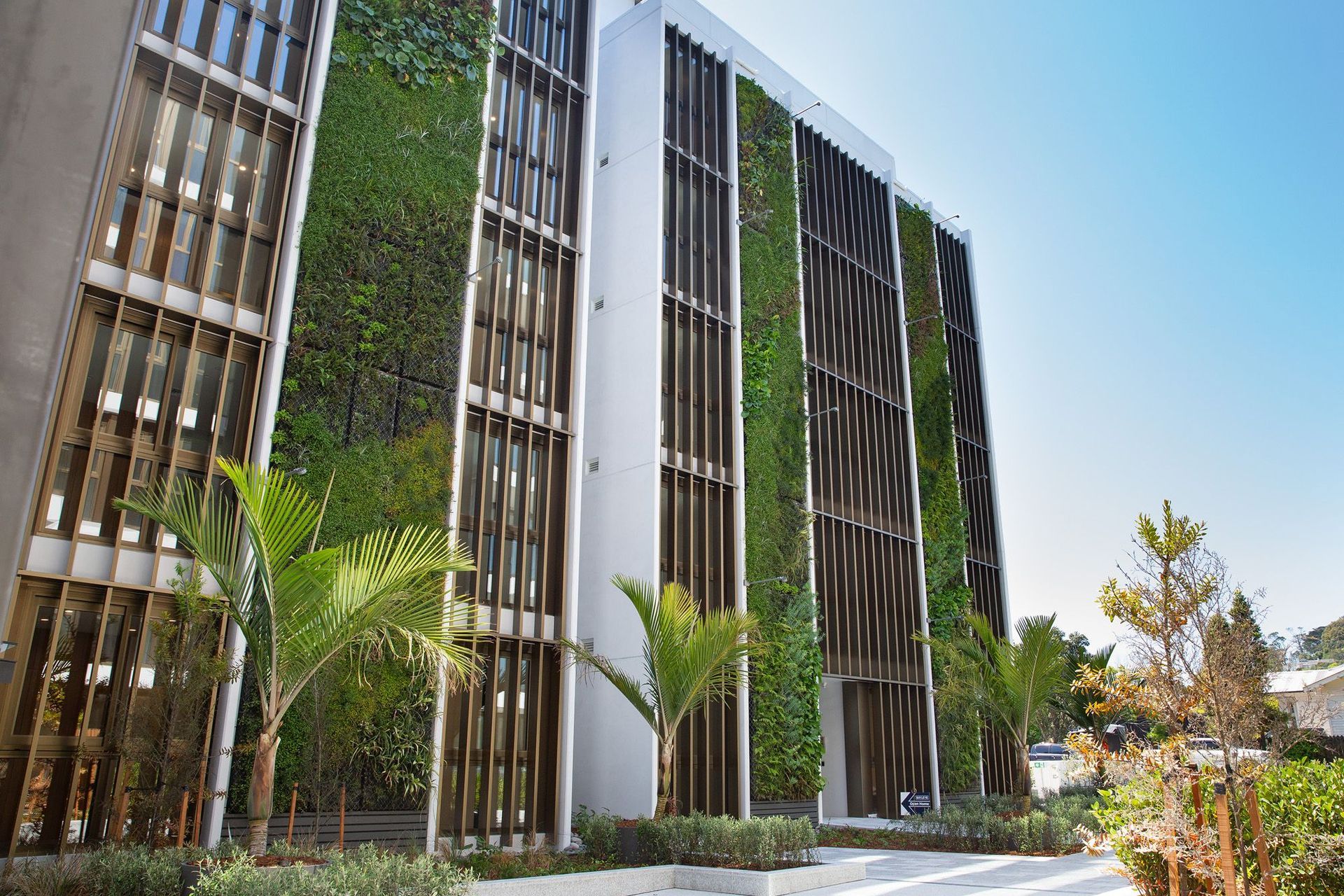 The green walls on St Mark’s Apartment building in Remuera earned the project the first-ever NZ Green Building Council residential green points for 'green' and covers a combined area of more than 110m² with more than 5000, mainly native, plants.